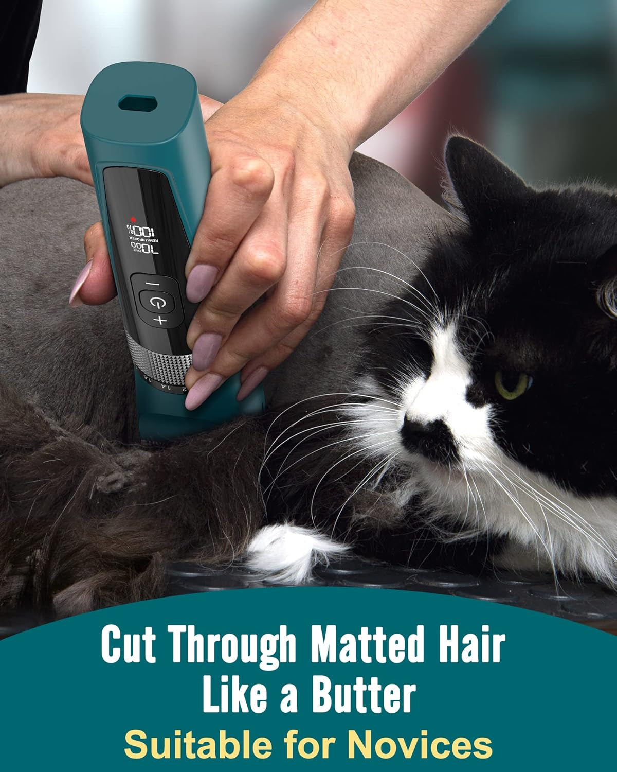 Oneisall Cat Clippers for Matted Hair, 5-Speed Quiet Cat Grooming Kit, Cordless Pet Shaver for Long Hair,Waterproof Pet Hair Trimmer, Pet Clippers for Cats(Green)