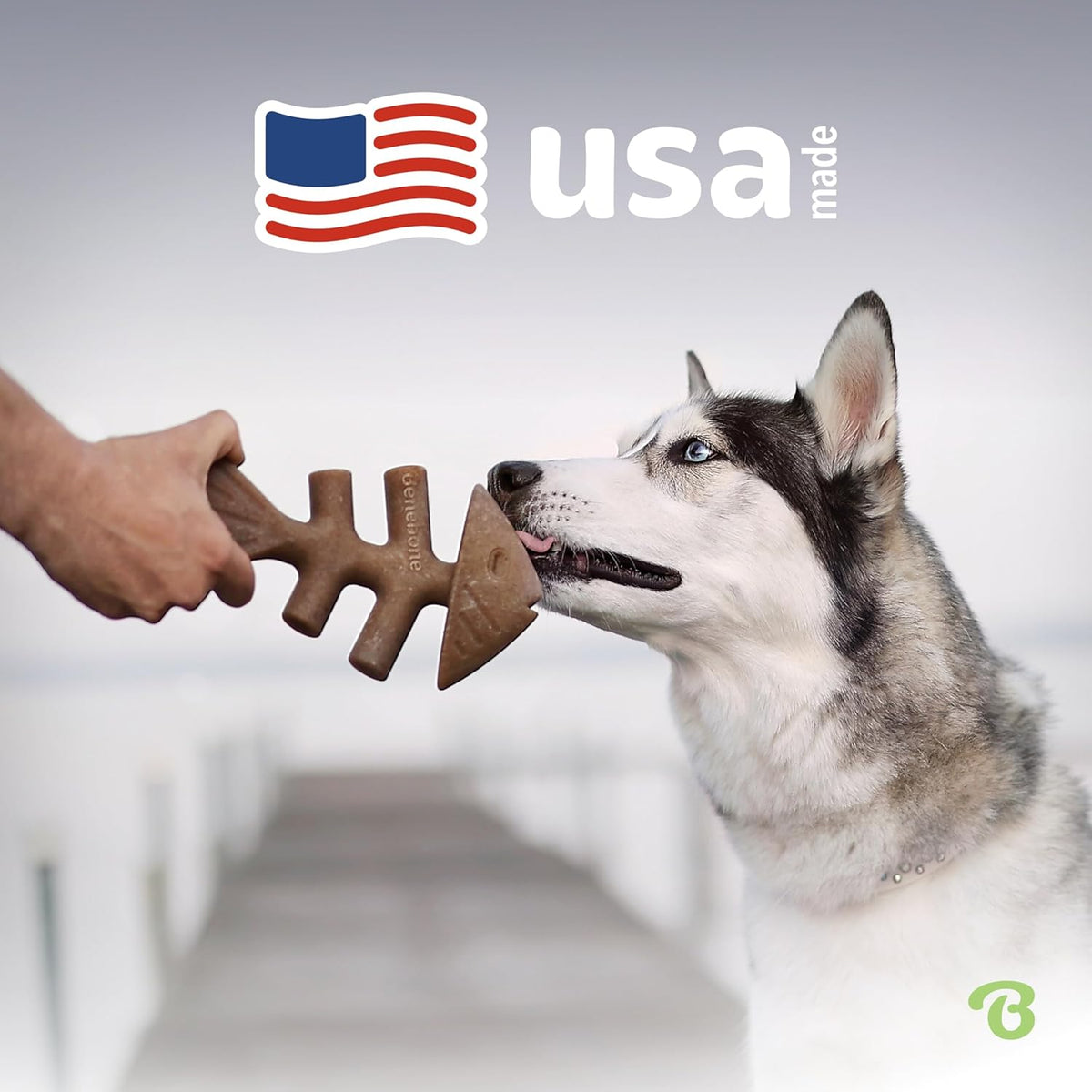 Benebone Fishbone Durable Dog Chew Toy for Aggressive Chewers, Medium