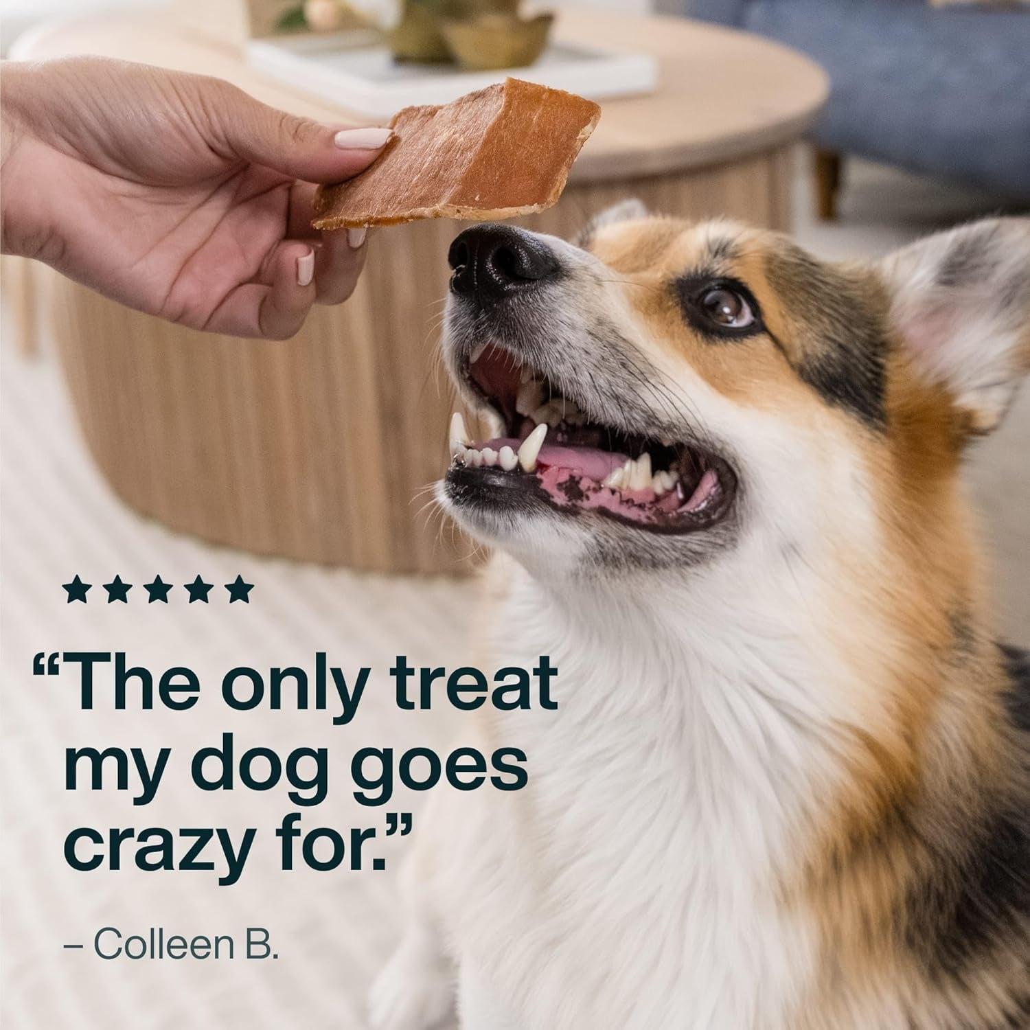 Just Food for Dogs Single Ingredient Healthy Dog Treats and Dog Snacks, Jerky Treats, Human Grade, Preservative and Grain Free, Rawhide Free Chews, Low Calorie Treat - Chicken Breast, 5 Oz