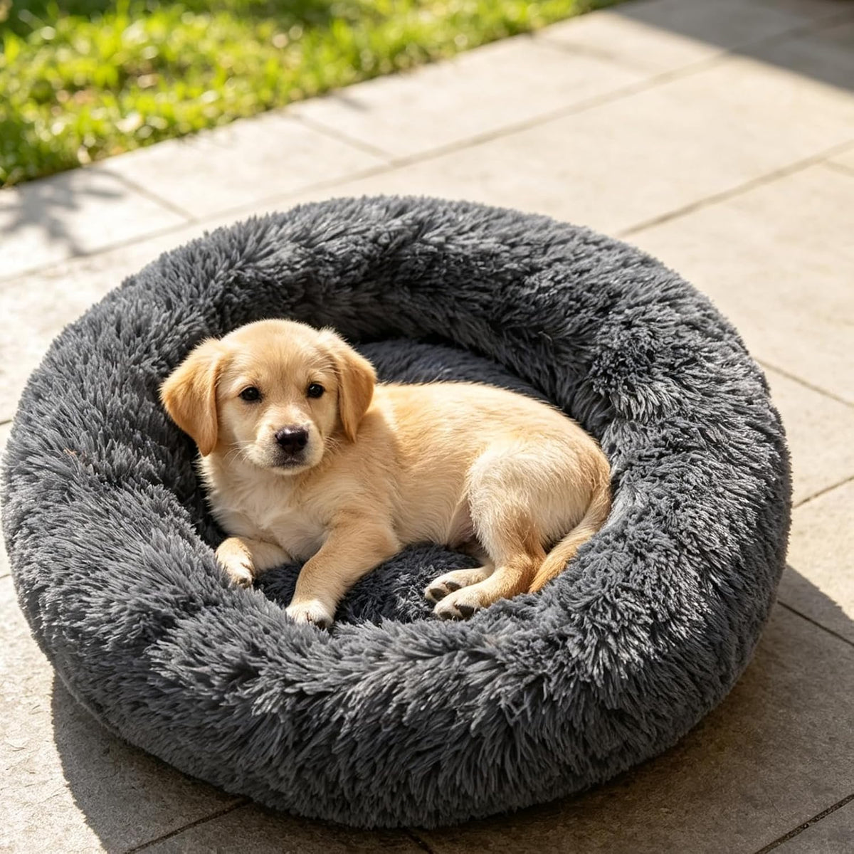 Cat Beds for Indoor Cats, round Donut Small Dog Bed, Dark Gray