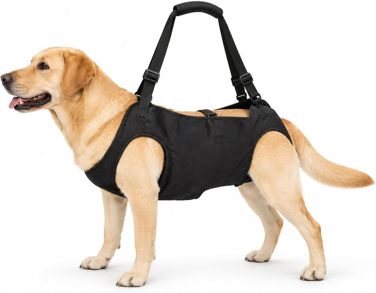 Dog Lift Harness Full Body Support Carry Sling for Large Male Dogs Black L