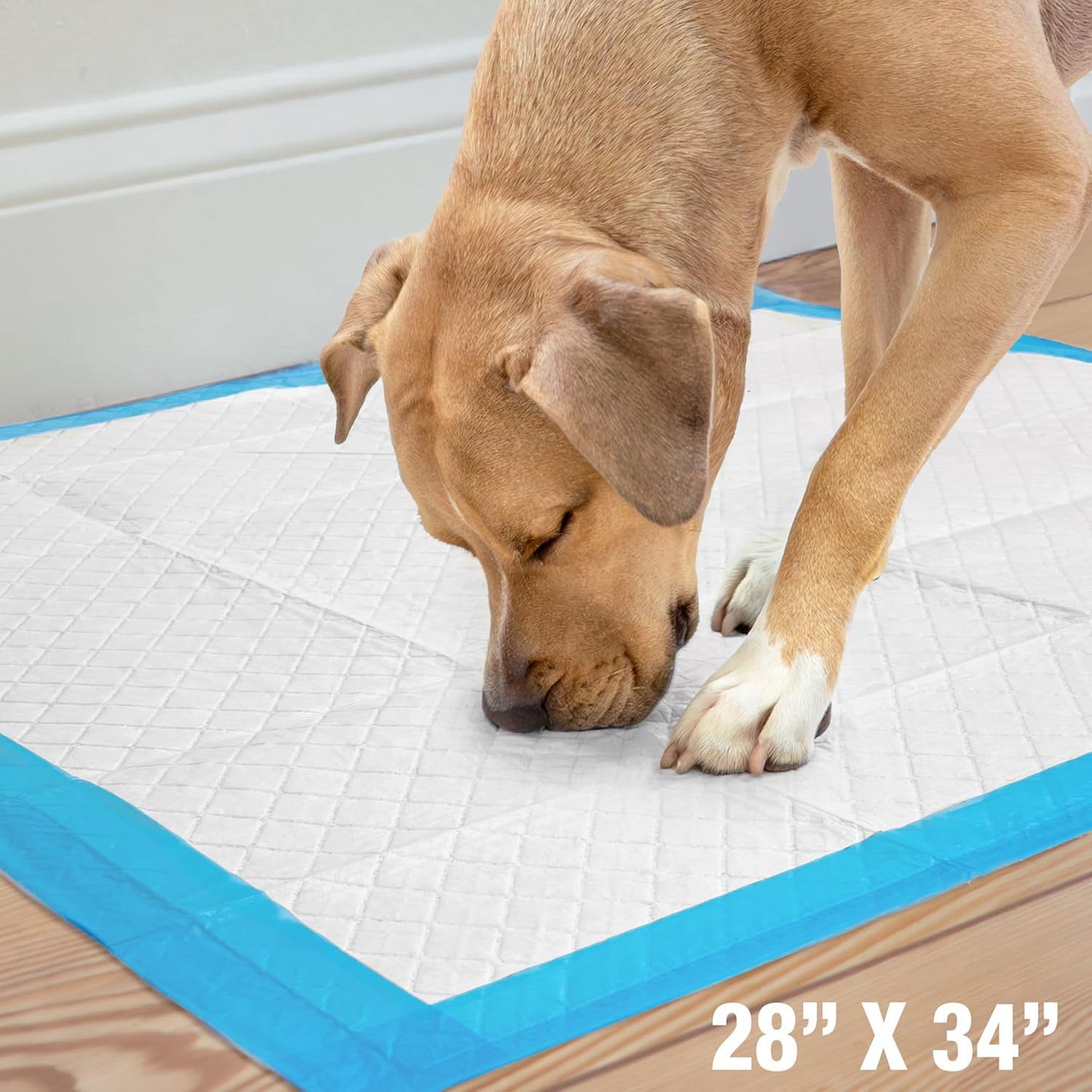 Four Paws Wee-Wee Superior Performance Unscented Extra-Large Pee Pads for Dogs & Puppies, Quilted Leak-Proof Dog Housebreaking Potty Training Floor Protection, 28" X 34", 40 Count