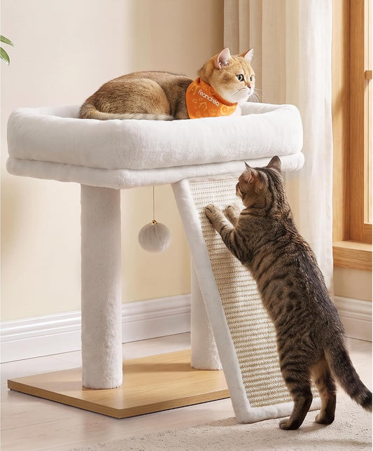 Feandrea Cat Tree, Small Cat Tower with Scratching Board and Top Perch