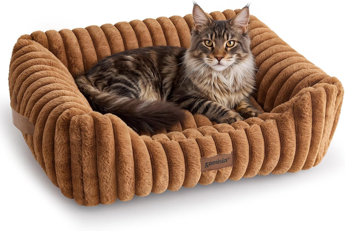 ZOMISIA Orthopedic Large Cat Bed with Removable Washable Cover, 25X21''