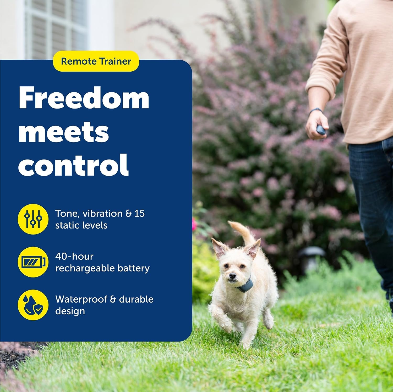 Petsafe 100 Yard Remote Training Collar Smaller Version for Small or Medium Dogs Choose from Tone, Vibration, or 15 Levels of Static Stimulation Short Range Option for Training off Leash Dogs