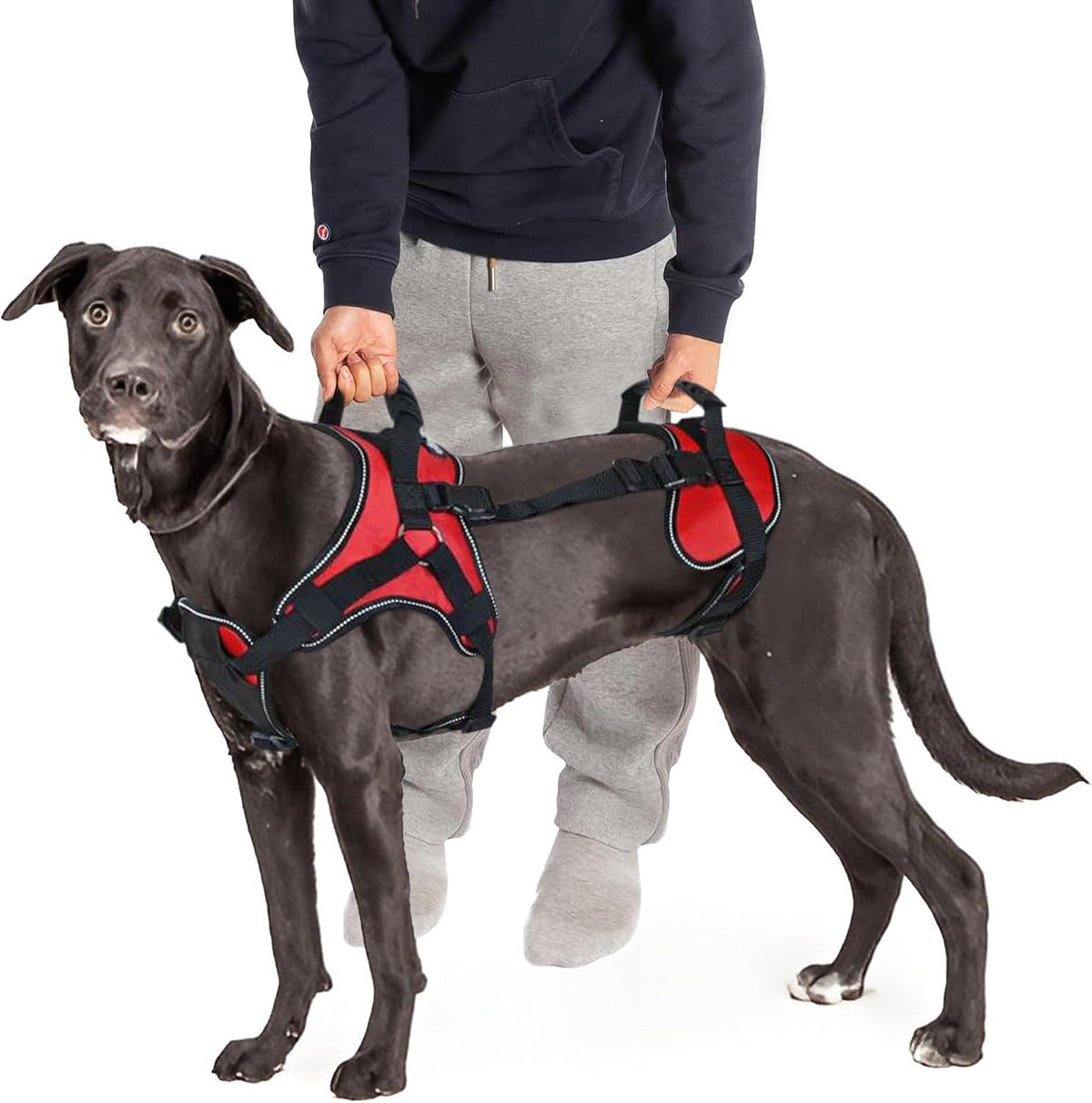 Multi-Functional Full-Body Lifting Dog Harness Vest, Designed for Front-Only, Rear-Only or Full-Body Dog Lifting. Please Measure before Ordering.