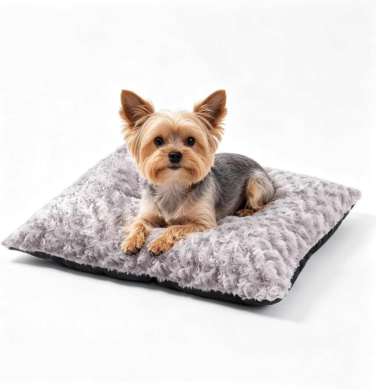 Dog Bed Washable Pet Bed for Small Dogs and Cat, Grey M