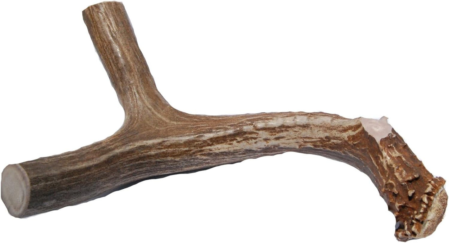 XL Deer Antler Dog Chew - Extra Large, Jumbo, for Large Dogs and Puppies Who Are Aggressive Chewers