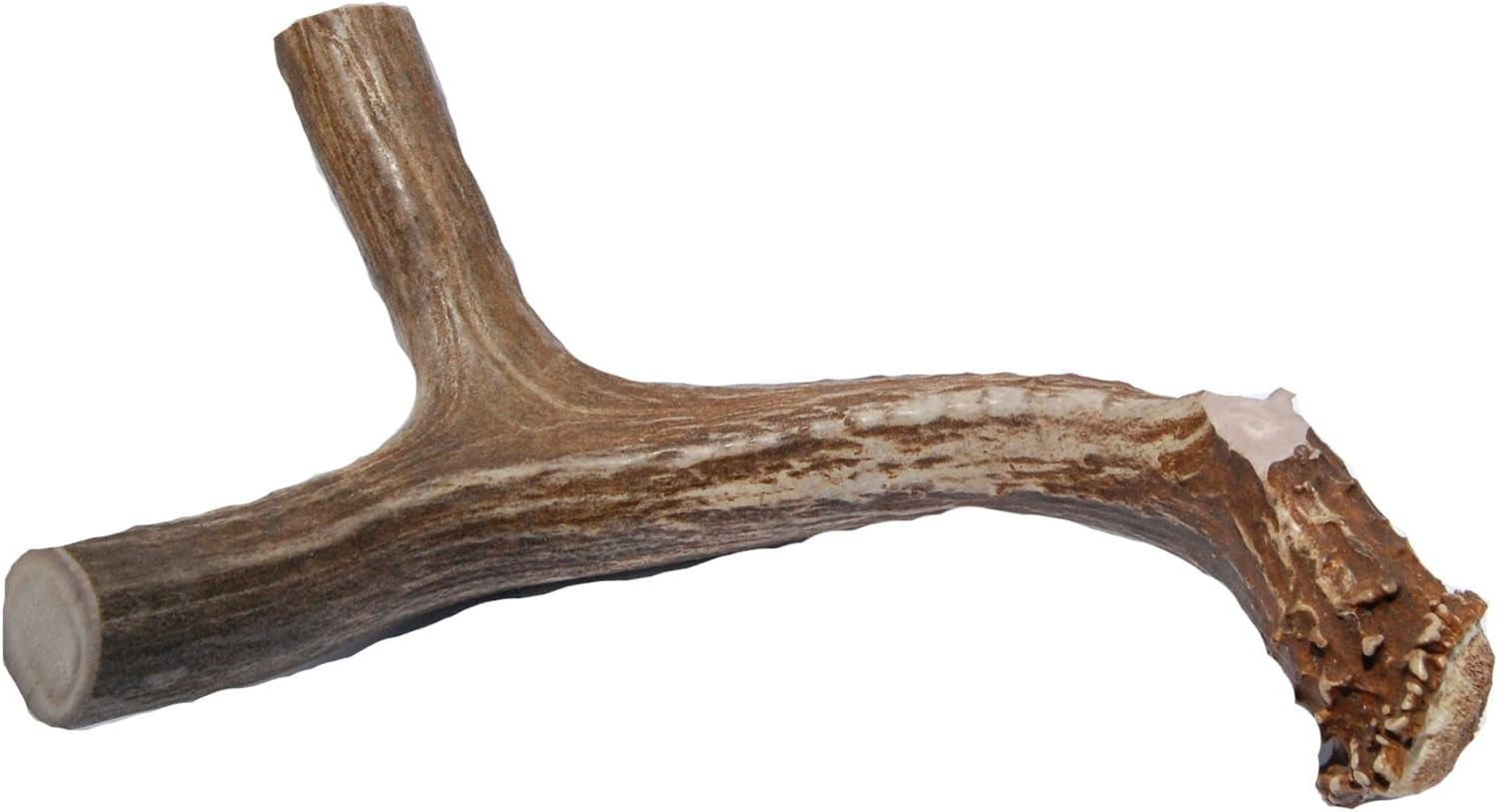 XL Deer Antler Dog Chew - Extra Large, Jumbo, for Large Dogs and Puppies Who Are Aggressive Chewers