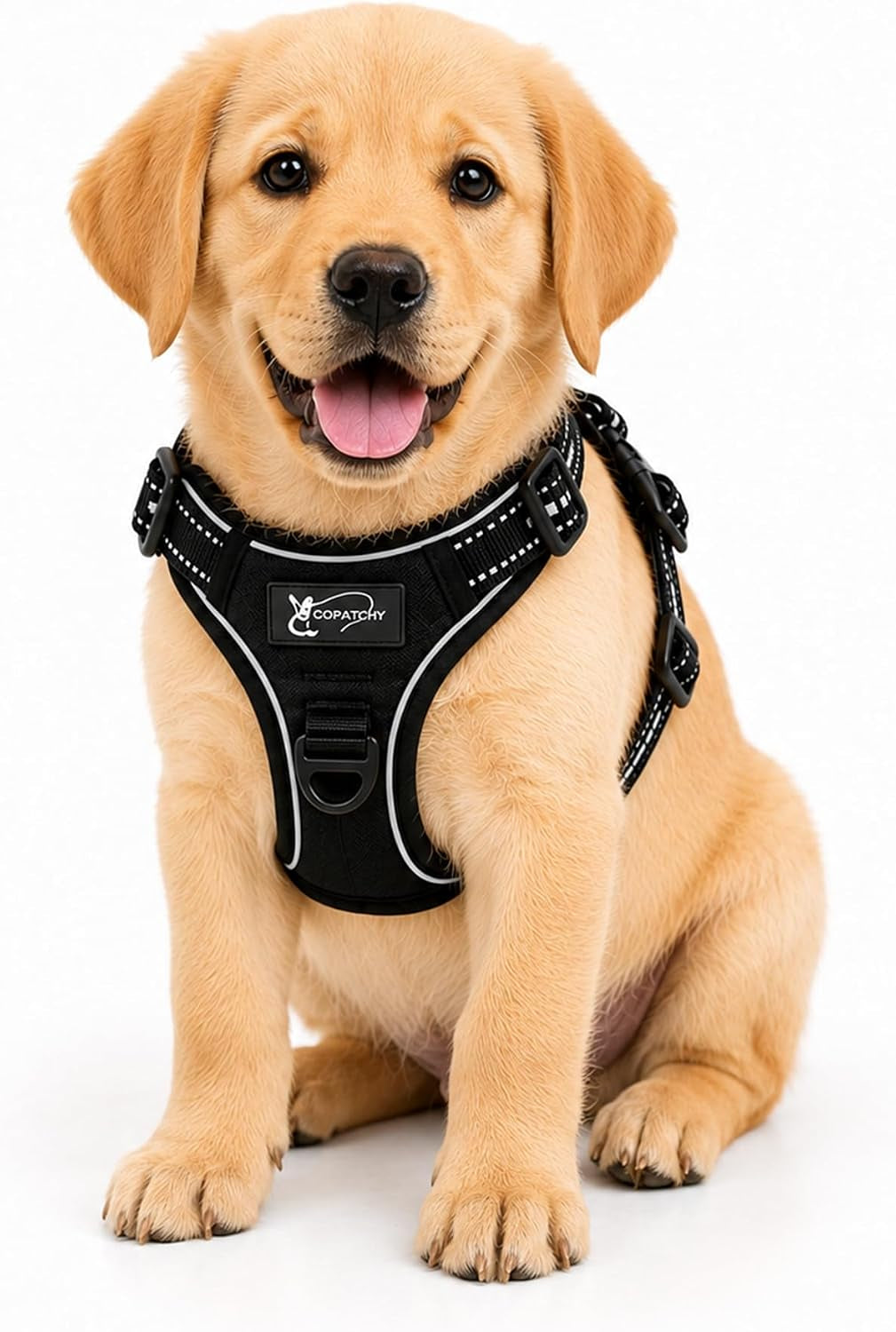 Dog Harness No-Pull Pet Harness Adjustable Outdoor Vest 3M Reflective Oxford Material Easy Control for All Sized Dogs (Small, Black)