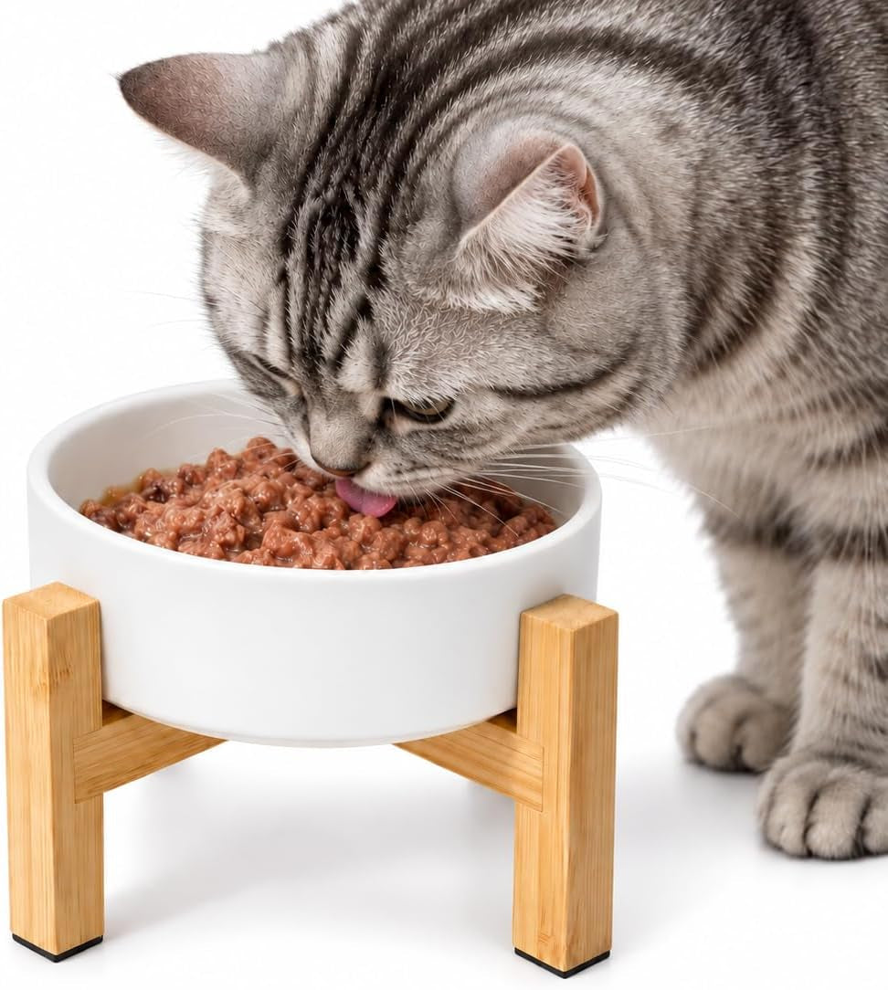 Elevated Cat Water Bowl, Ceramic Raised Cat Food Bowl with Adjustable Bamboo Stand, 5.1" Compact Raised Cat Water Bowl for Kittens, Adult & Senior Cats, 2-Way Adjustable Height, Dishwasher Safe, White