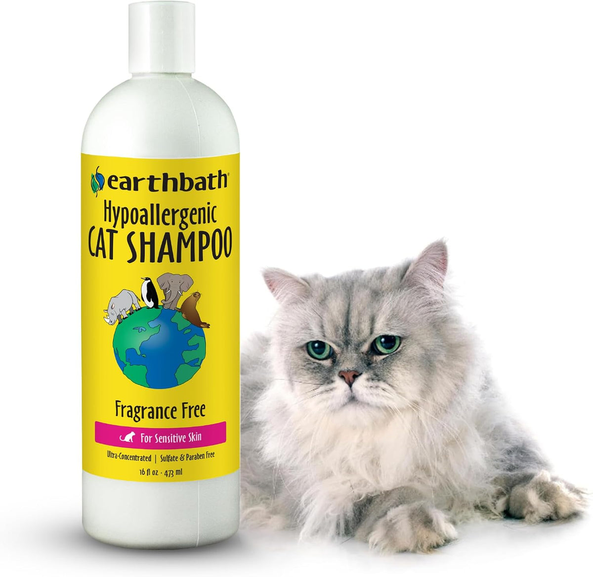 Earthbath Hypoallergenic Cat Shampoo, Made in USA, 16 Fl Oz (1 Pack)
