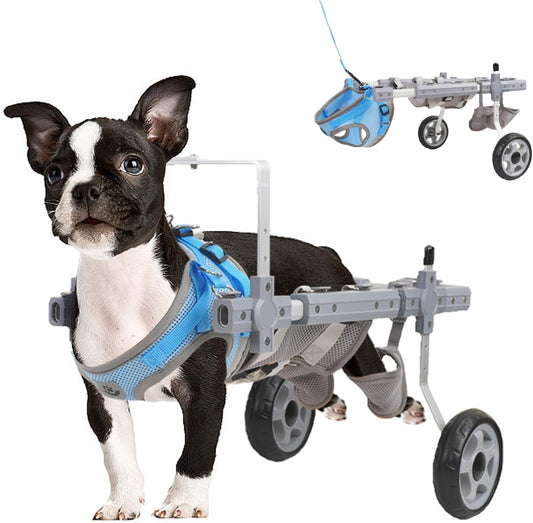 Dog Wheelchair for Back Legs(M), 2024 New Adjustable Dog Wheel Chair, Assist Small Pets with Paralyzed Disabled Hind Limbs Recover Mobility, Pets Cart with Wheels Leg Brace Hip Support(<19.8 LBS)