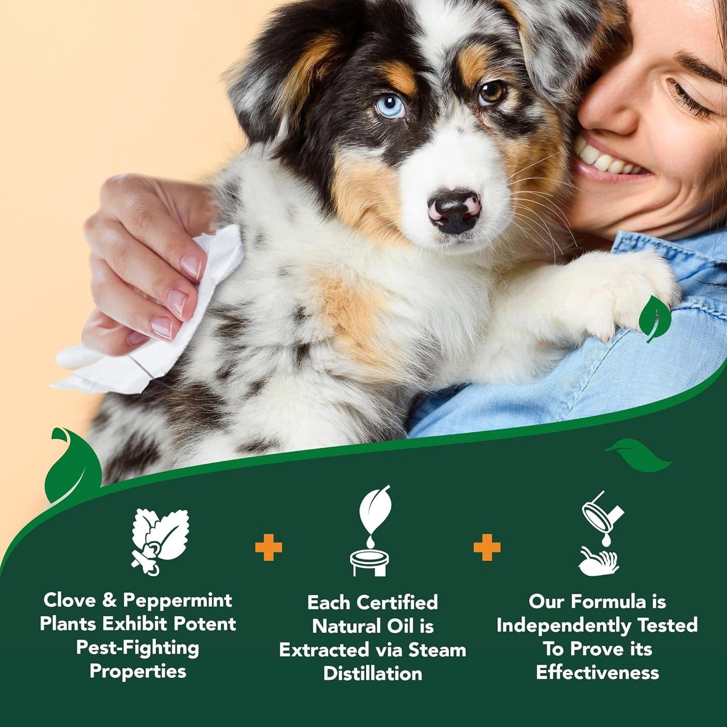 Vet'S Best Flea & Tick Wipes for Dogs, Plant-Based, Pest Control, 50 Count | Plant-Based Flea & Tick Wipes, Essential Oils, Helps Control Fleas & Ticks, for Dogs, Kennels & Home Use