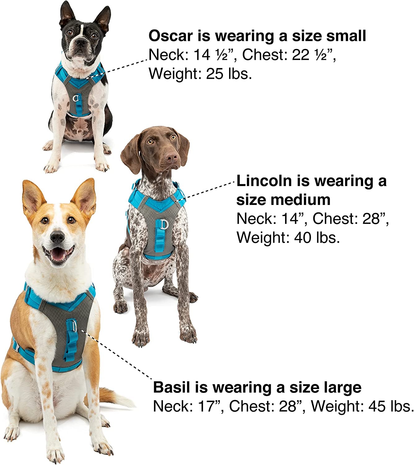 Kurgo Journey Air Dog Harness - Secure Fit for Active Dogs - Padded Chest - Lightweight Ripstop Fabric - Breathable Mesh - Reflective Trim - Back Assist Handle - Red - X-Large