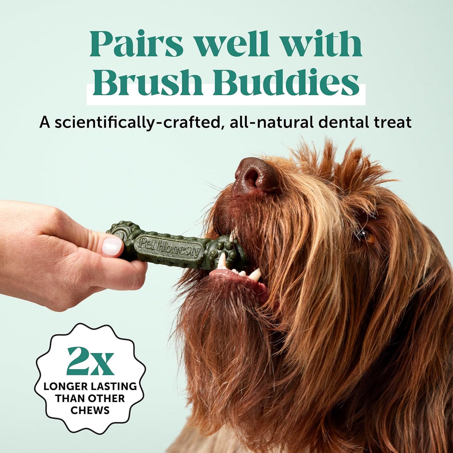 Dog Breath Freshener Dental Powder - Teeth Cleaning Plaque off + Tartar Remover for Dogs - Care Supplement Food Topper with Kelp, HMP + Postbiotics for Healthy Gums - Mint Flavor (30 Servings)