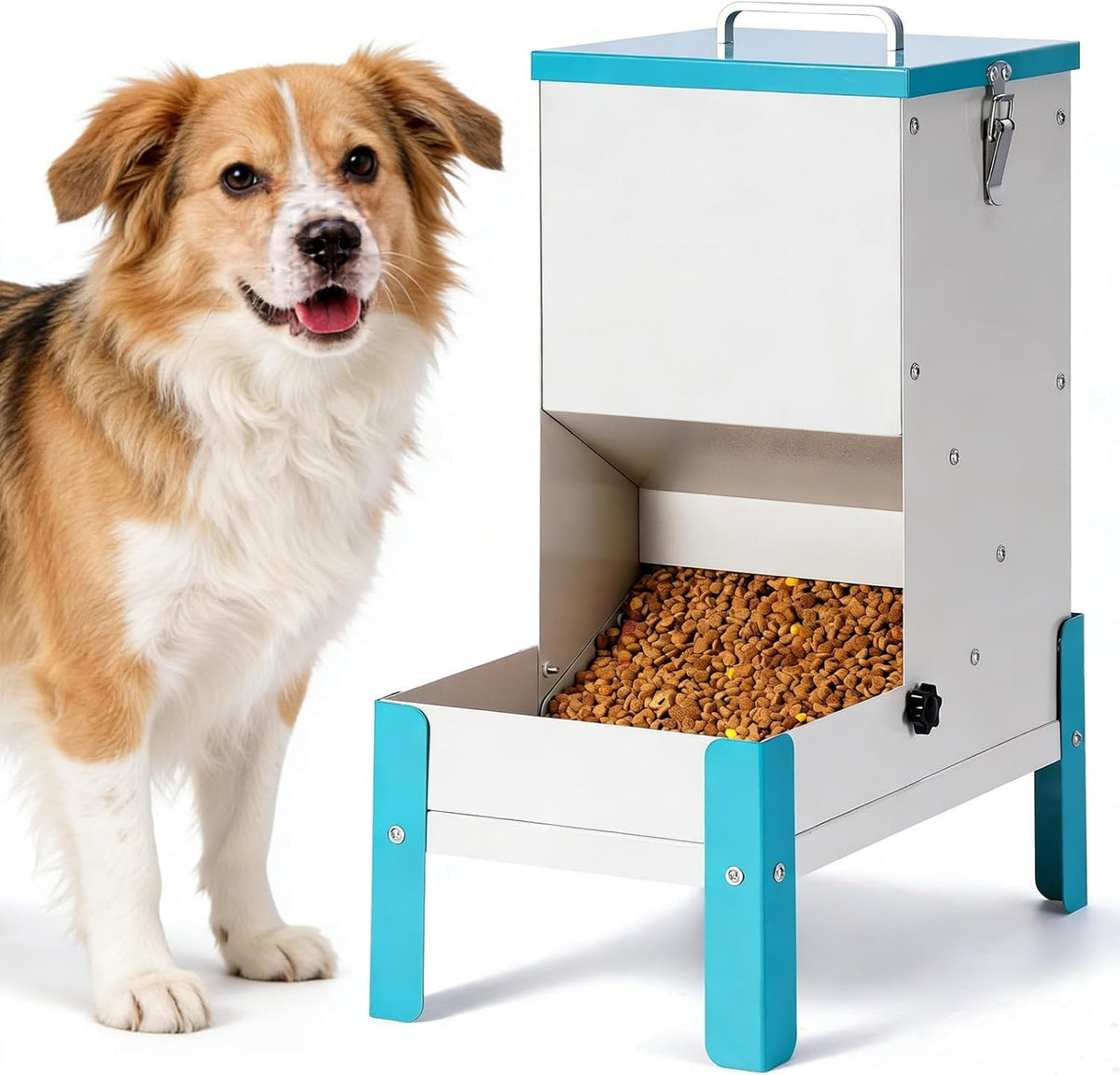 Automatic Dog Feeder 10L Gravity Cat Feeder with Elevated Stand