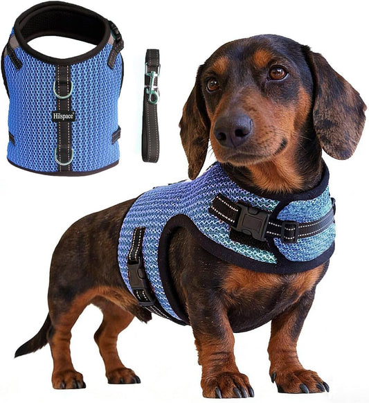 Mini Dachshund Harness Vest, No Pull & No Armpit Rub Dachshund Harness, Escape Proof Adjustable Dog Harness for Walking (Blue, S: Chest 32-41Cm (12.5"-16"))