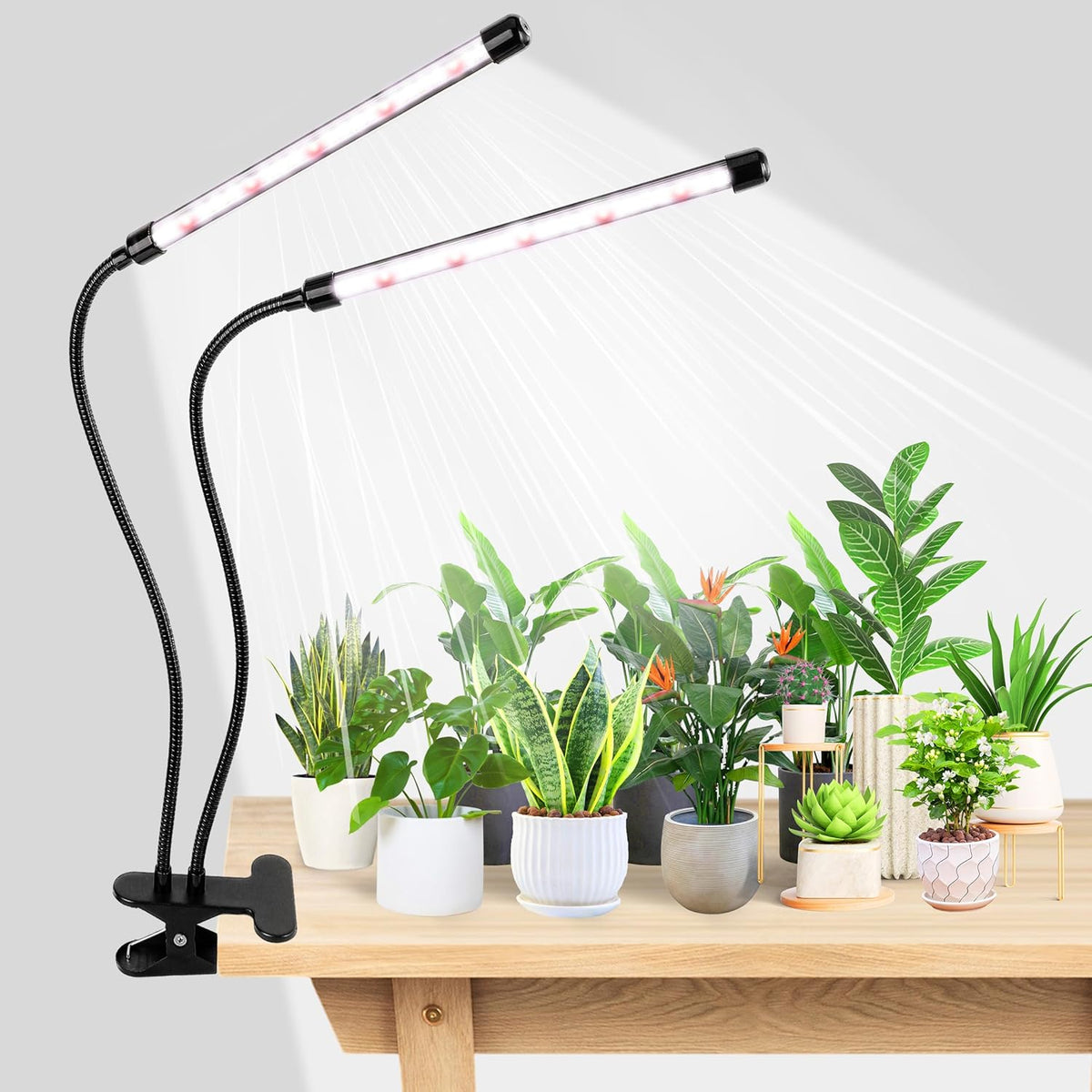 EWPJDK Grow Light 6500K Full Spectrum Plant Grow Lights 84 LED Plant Light with Clip Grow Lamp for Indoor Plants Growing Lamps（1Pcs）