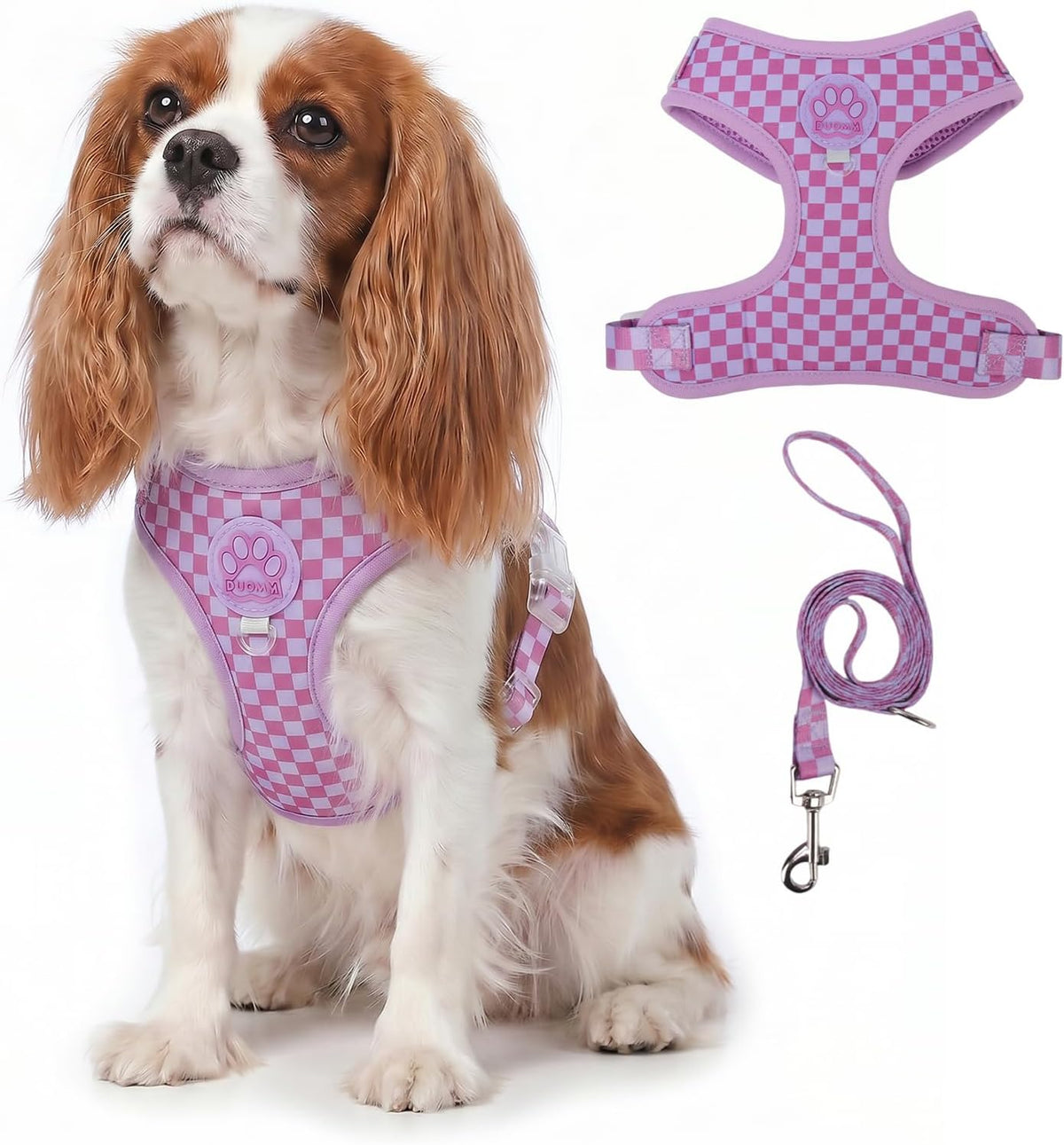 Dog Harness Small Sized and Leash Set