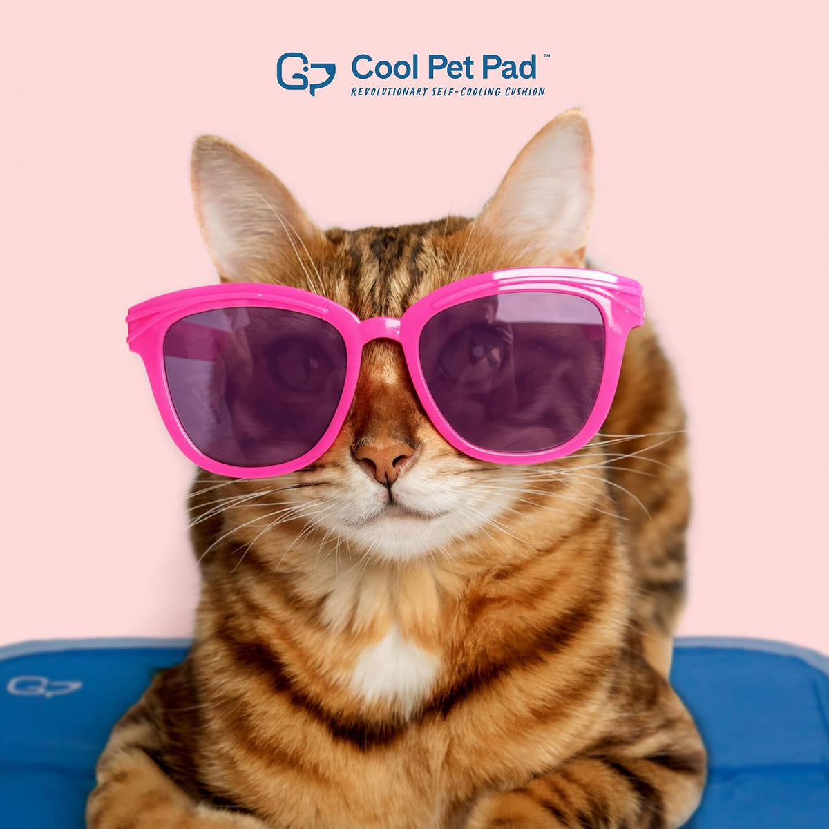 The Green Pet Shop Cool Pet Pad - Medium, Blue - Self-Cooling, Pressure Activated Mat for Dogs & Cats from 21-45 Lbs - Non-Toxic Gel, No Water Needed