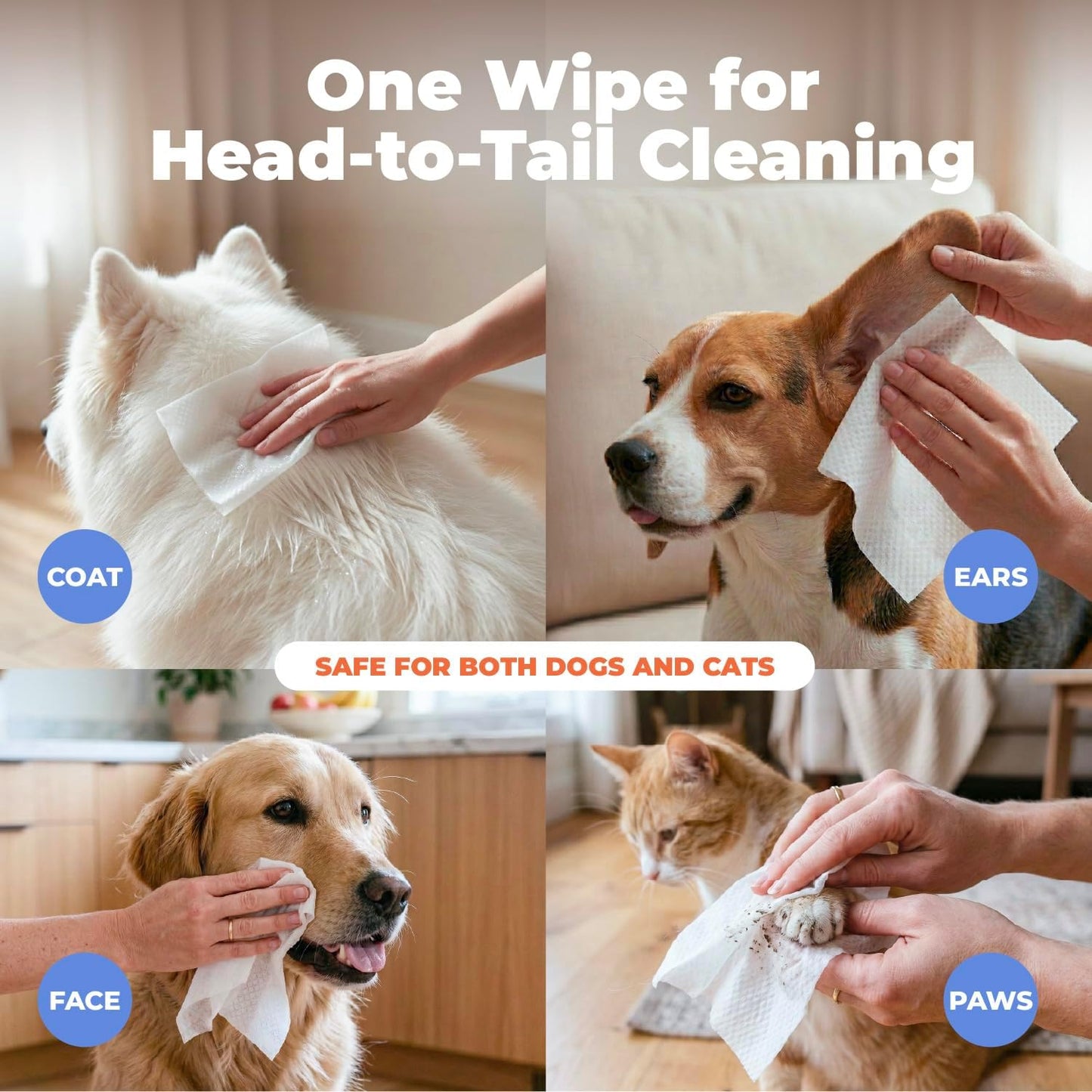 Best Pet Supplies 8" X 9" Large Dog Wipes - Cleaning and Deodorizing for Paws and Coat - Gentle Formula with Lavender Vitamin E for Puppies and Cats - 100 Count