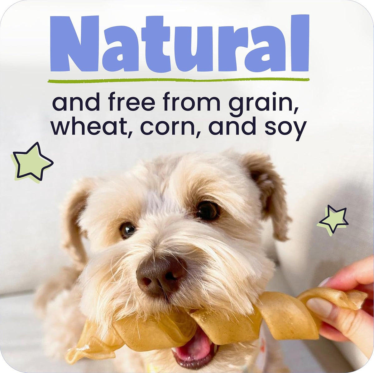 Pawstruck All Natural 5-6" Roasted Collagen Sticks for Dogs – Low Odor & Long-Lasting Bully Stick Alternative, Single Ingredient & Vet Approved – 10 Pack