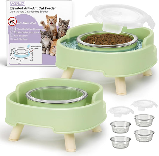 2 Pack Ant Not Cross Elevated Cat Bowls Mess Proof-4 Food Grade Glass Bowls & 2 Lids- No Spill Cat Food and Water Feeding Station for Cats&Puppy Indoor & Outdoor,No Whisker Fatigue Dish,Green