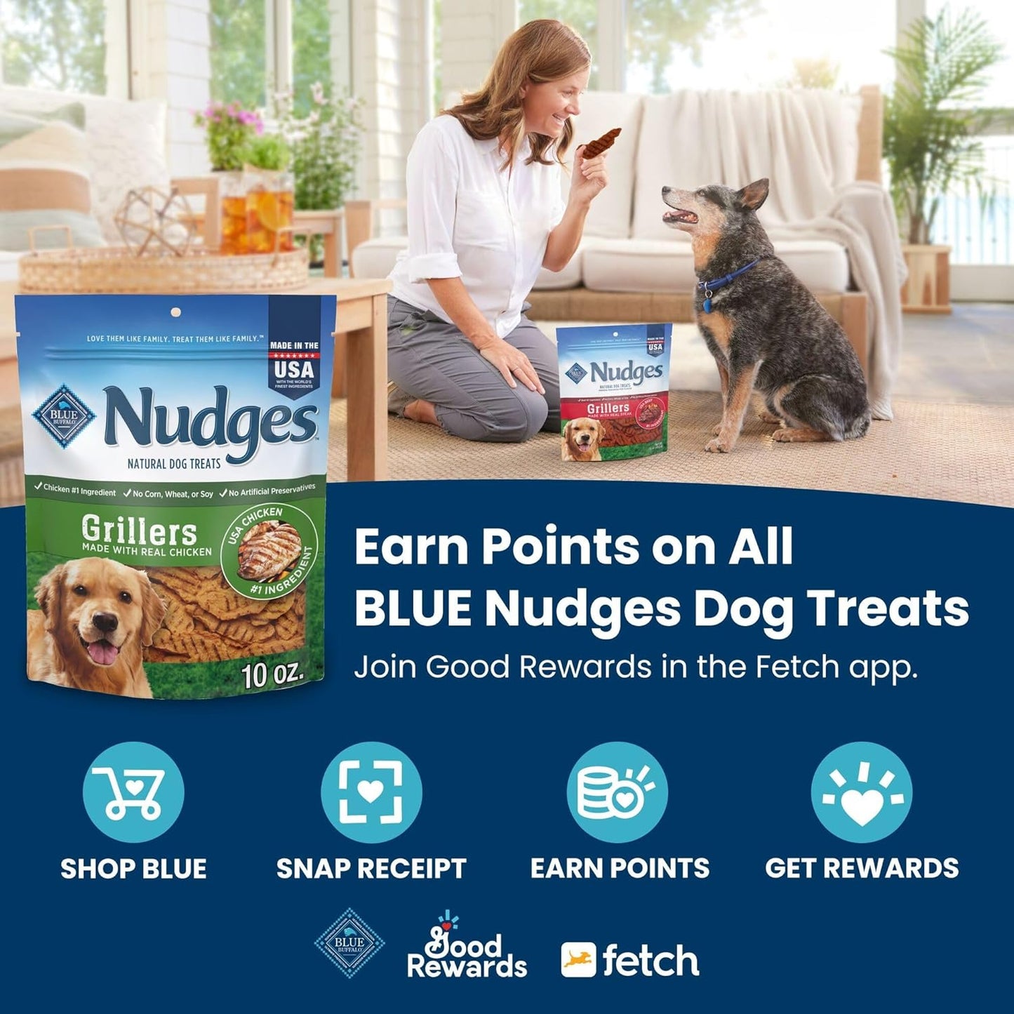 Blue Buffalo Nudges Jerky Bites Dog Treats, Made in the USA with Natural Ingredients, Bite-Sized Pieces, Chicken, 5-Oz Bag