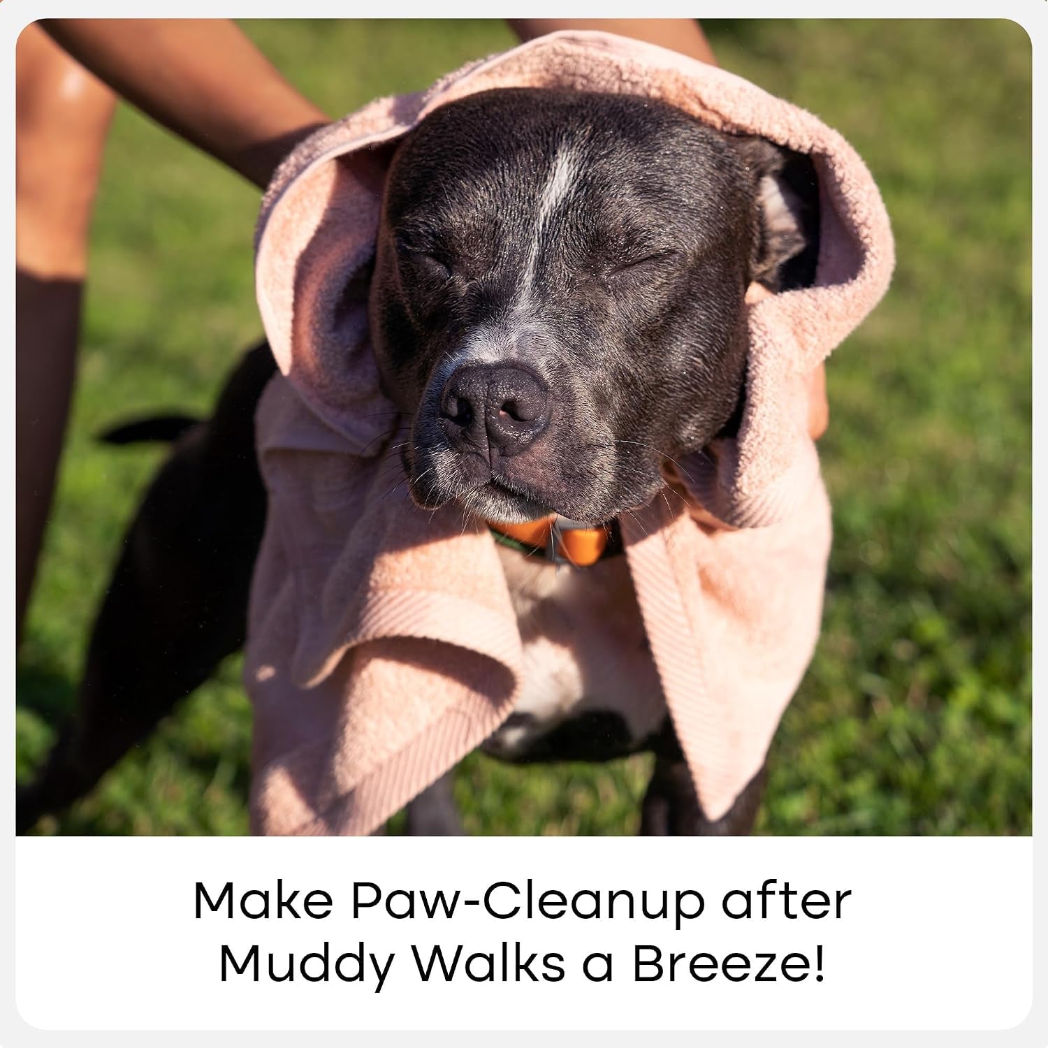 Uproot Clean Dog Paw Cleaner - No-Rinse Paw Cleaner for Dogs - Easy Dog Foot Washer with Bristle Brush - Fragrance-Free Foot Scrubber for Home and On-The-Go - Hypoallergenic & Safe All Dogs