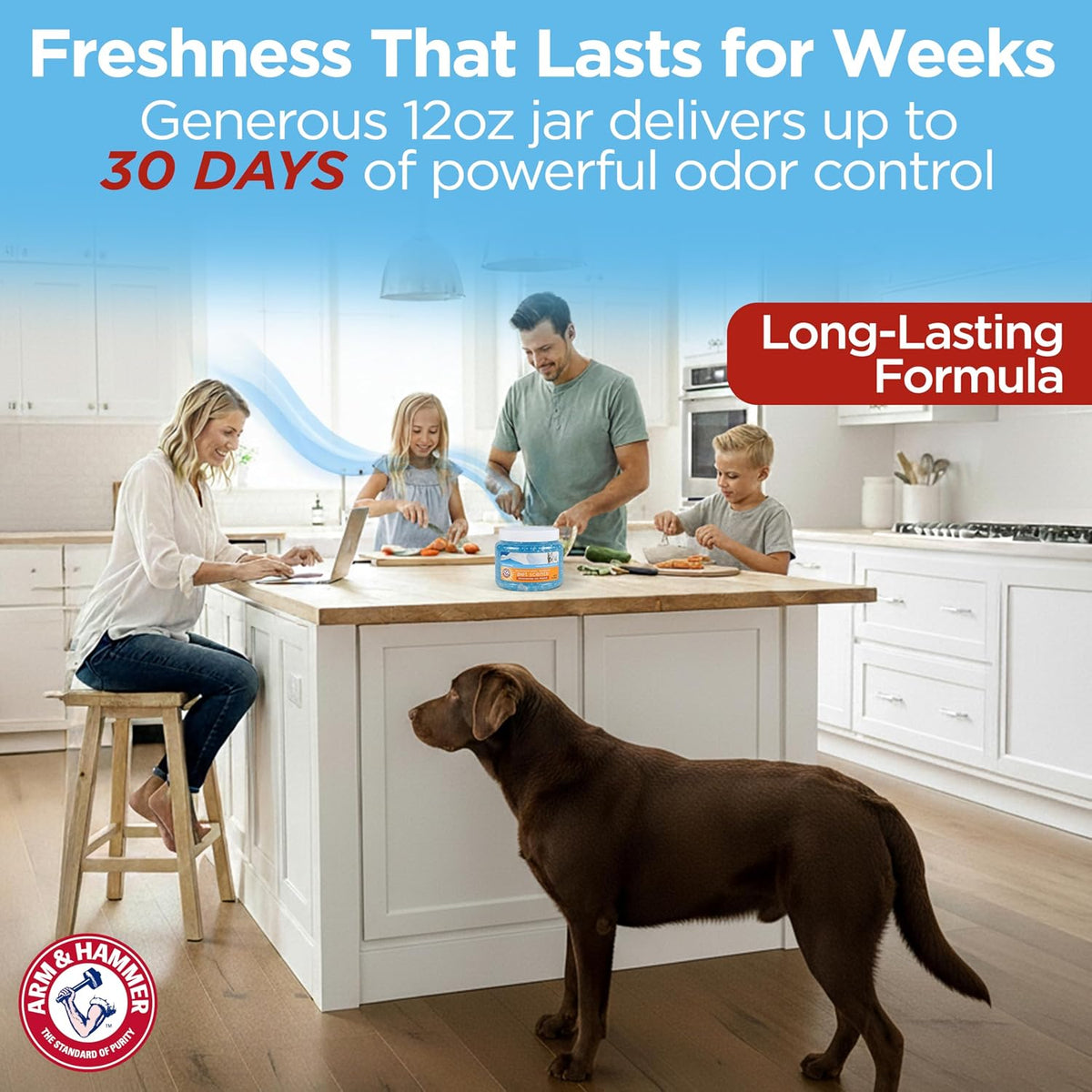 Arm & Hammer Pet Scents Deodorizing Gel Beads, Fresh Breeze, 12 Oz