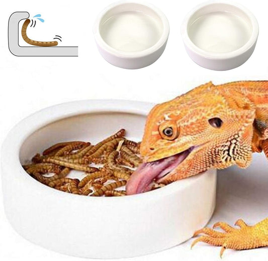 Reptile Food Dish Bowl 2Pcs Lizard Gecko Worm Water Bowls Small (2.75In)