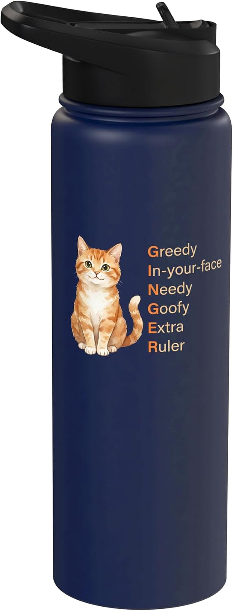 Ginger Cat Lover Cat Mom Cat Mama Ginger Cat Personality Stainless Steel Insulated Water Bottle