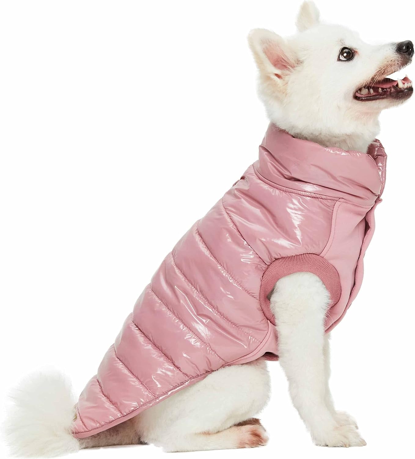 Blueberry Pet Windproof Quilted Winter Jacket – Cozy Mauve Pink Puffer Coat for Medium Dogs, Size 18 (18.5" Back Length), Glossy Warm Outdoor Wear with Easy On/Off Design