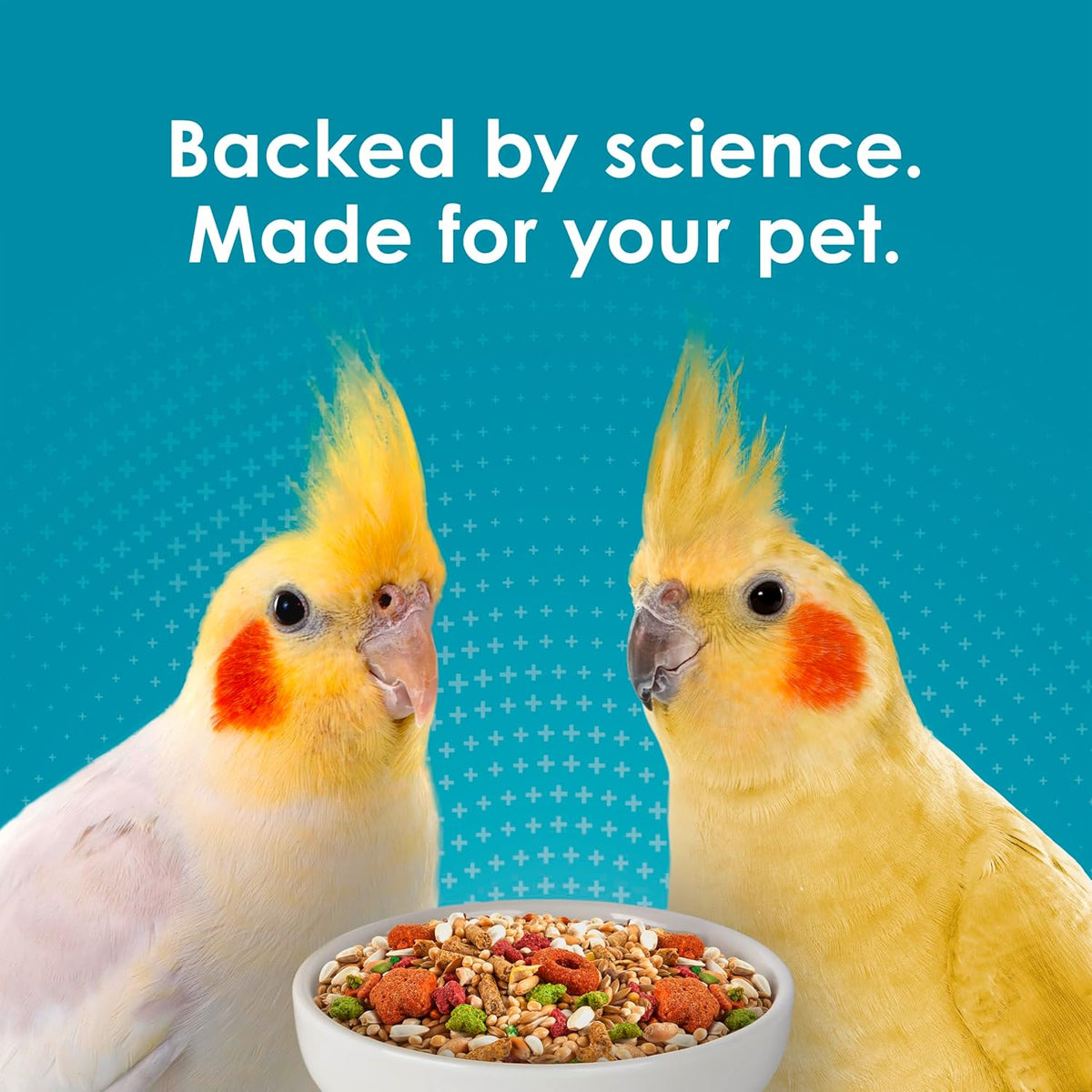 Kaytee Forti-Diet Pro Health+Safflower Nourish+Protect Cockatiel Food