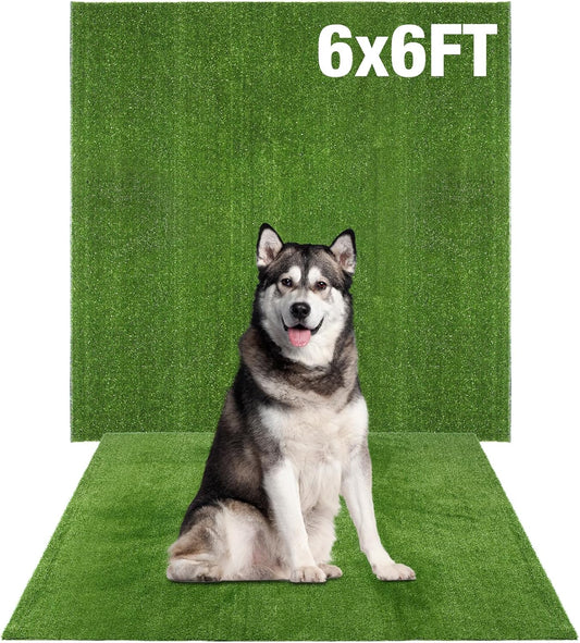 GLOBREEN Large Artificial Grass Outdoor for Dogs - 6 FT X 6 FT Fake Grass for Pets Potty Training - Turf Rug Roll for Kennel Playpen Whelping