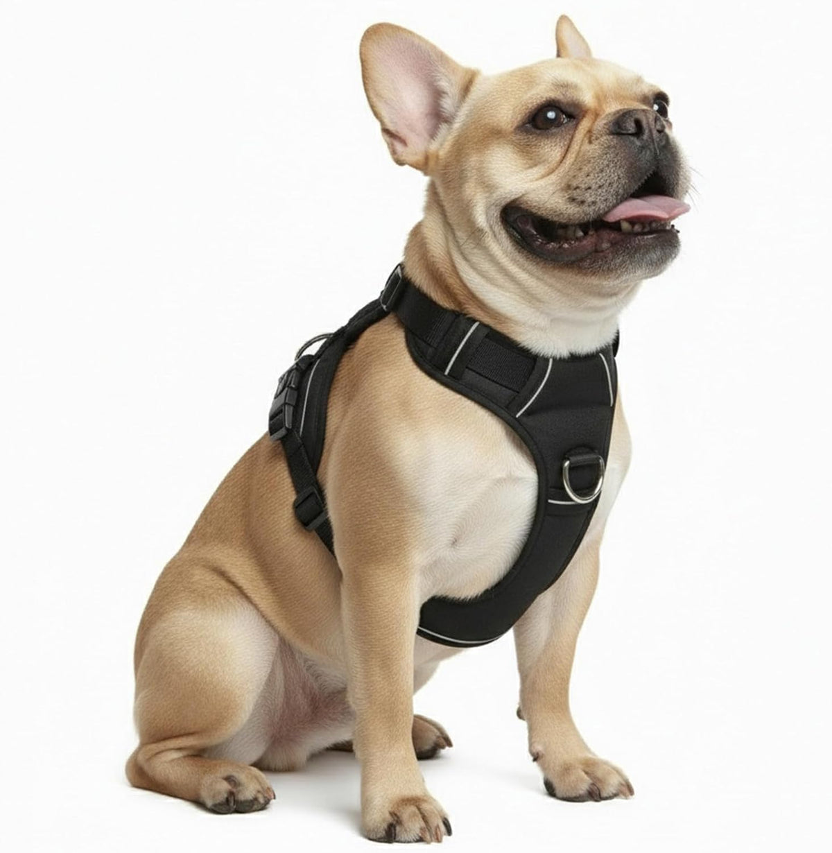 No Pull Dog Harness, Black, Small
