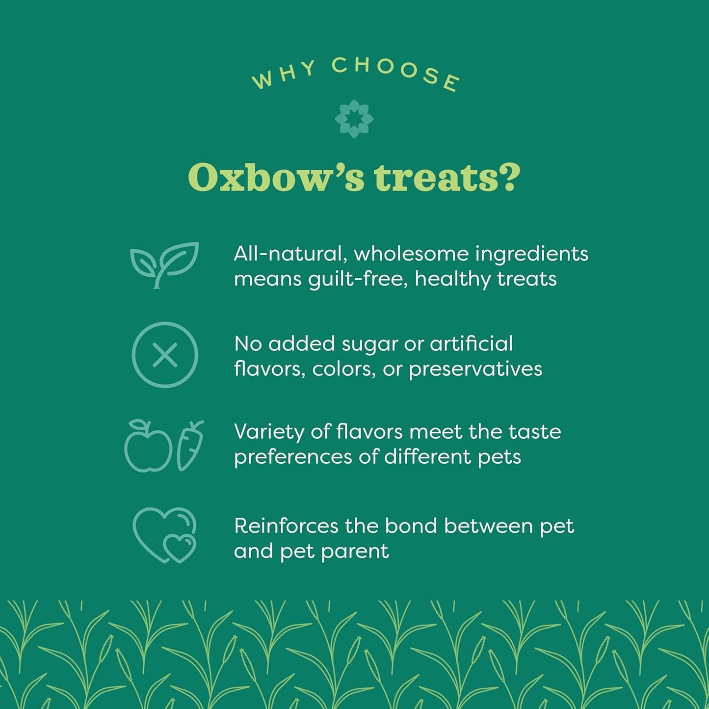 Oxbow Simple Rewards Apple Banana Treats, Timothy Hay Guinea Pig & Bunny Treats, Pet Snack, Made with Oxbow Guinea Pig Hay, Made in USA, Timothy for Rabbit, 3 Oz Bag