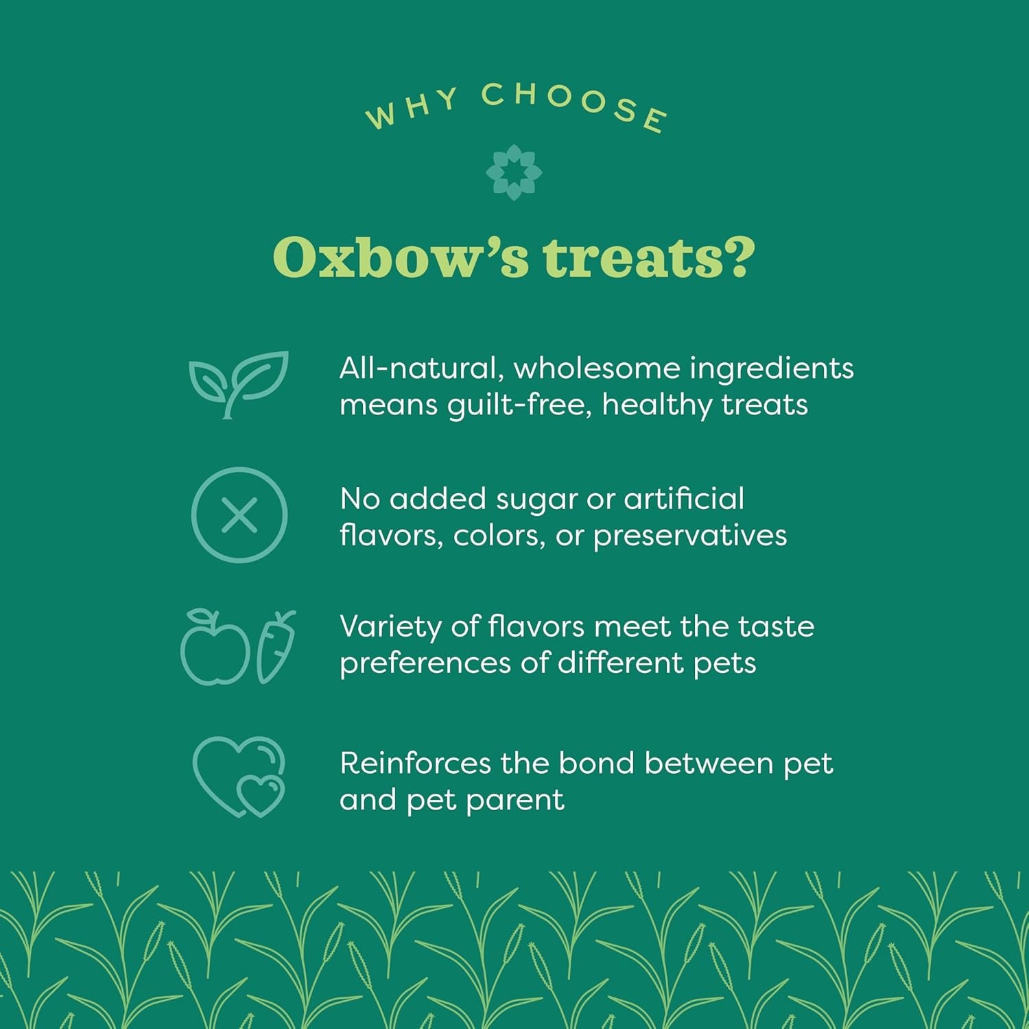 Oxbow Simple Rewards Apple Banana Treats, Timothy Hay Guinea Pig & Bunny Treats, Pet Snack, Made with Oxbow Guinea Pig Hay, Made in USA, Timothy for Rabbit, 3 Oz Bag
