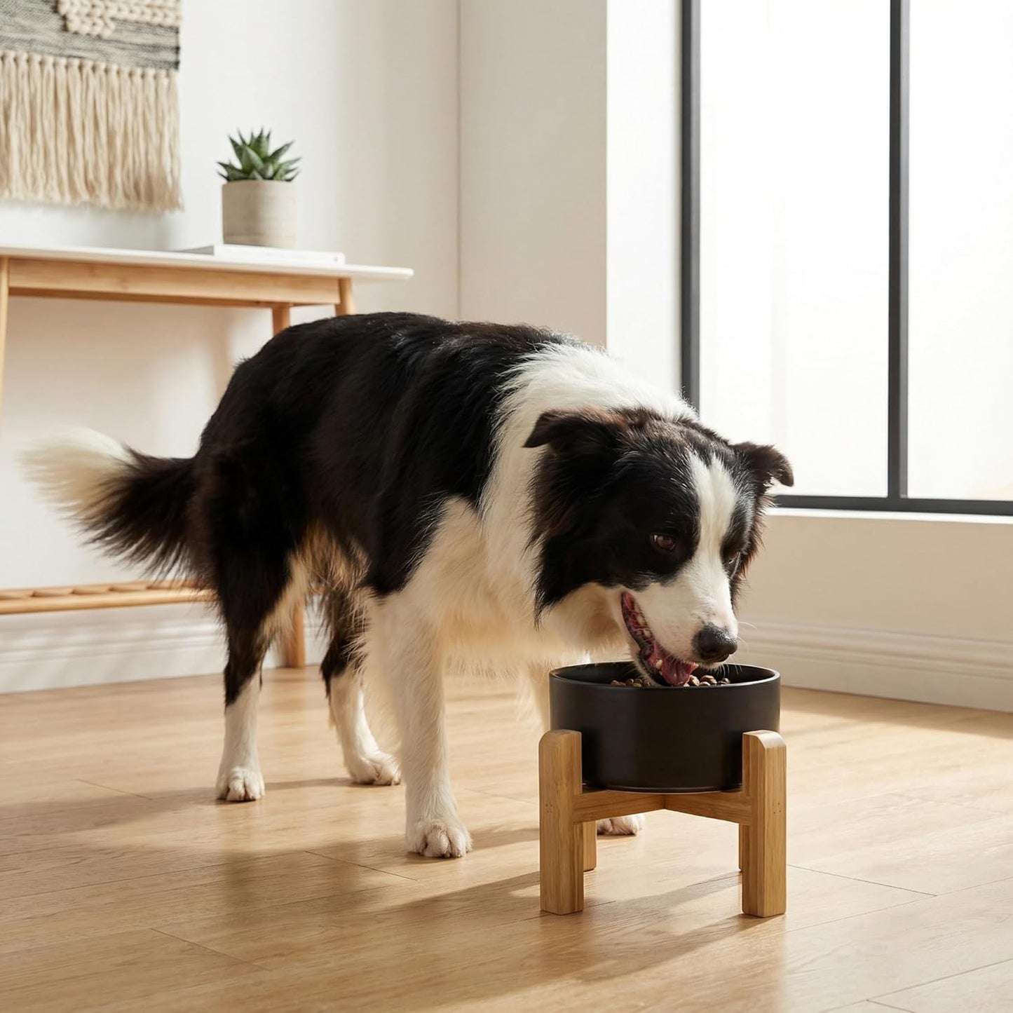 Hjn Elevated Ceramic Dog Bowl with Bamboo Stand, Raised Pet Feeding Station for Small Medium Dogs Cats, Modern Design with Anti-Slip Base (Black, 7.6Cup)