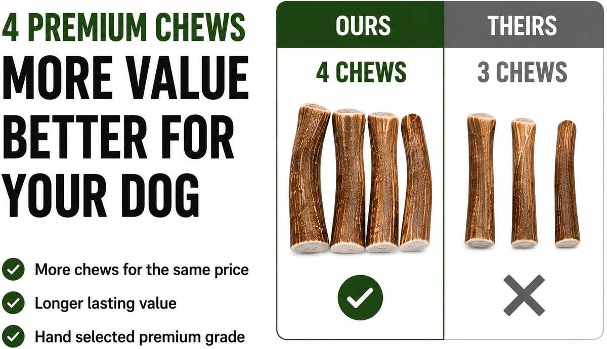 Premium Deer Antler Pieces - Dog Chews - Antlers by the Pound, One Pound - Six Inches or Longer - Medium, Large and XL - Happy Dog Guarantee!