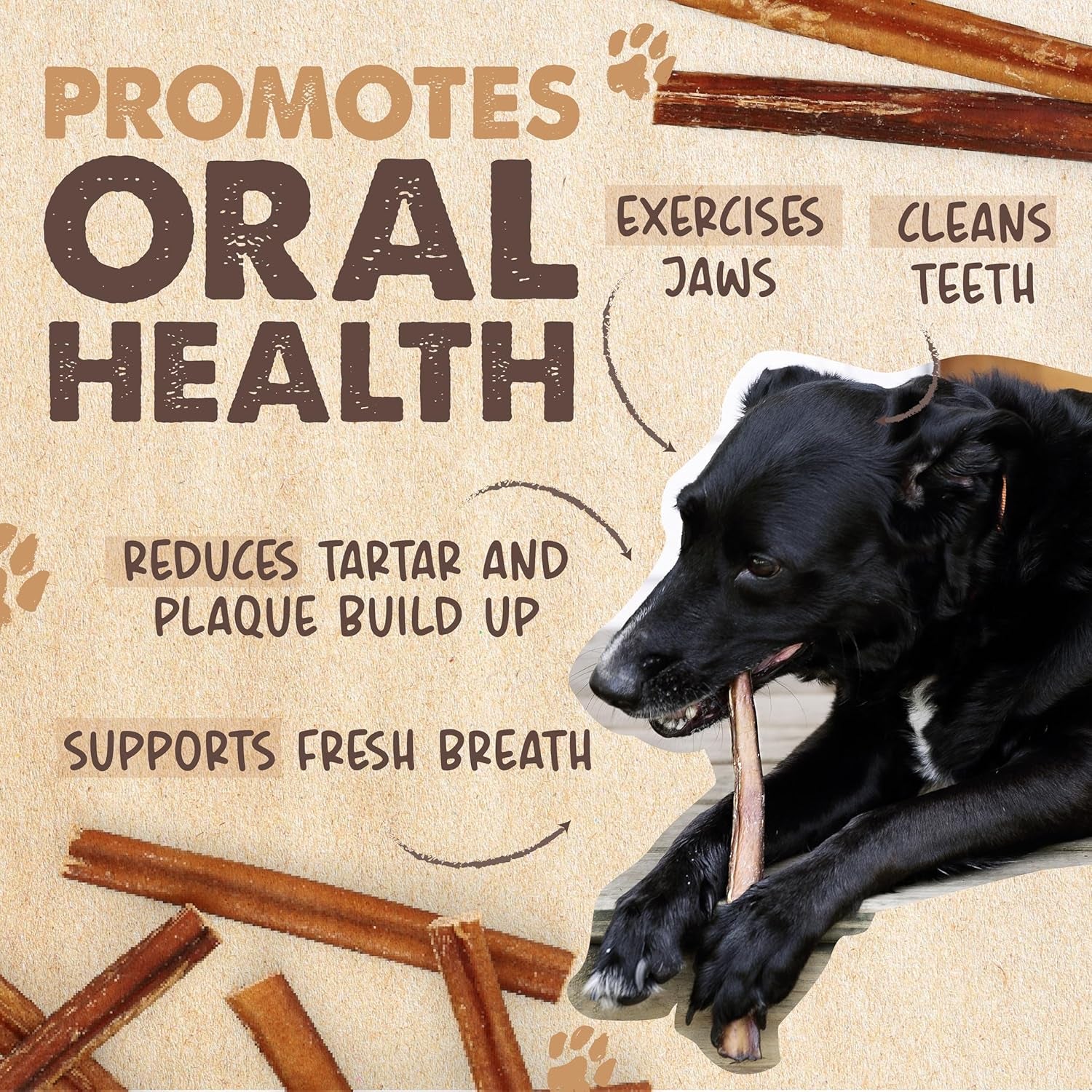 Mighty Paw Long Lasting 12" Bully Sticks for Dogs - All Natural Grass Fed Beef Chews. Lower Odor Dog Bully Sticks for Large Dogs, Medium and Small Breeds. Single Ingredient Treats