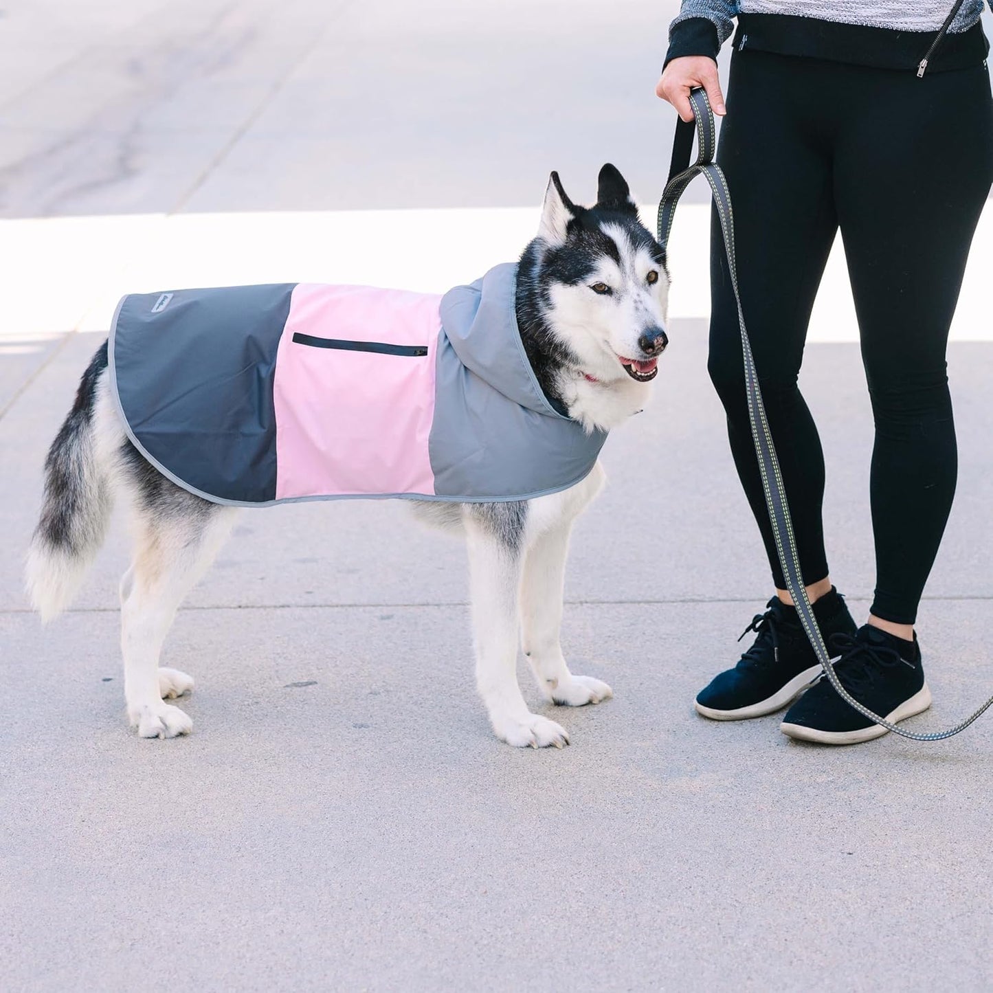 Eddie Bauer E24232M Ravenna Colorblocked Dog Windbreaker Jacket in Medium, Grey and Pink