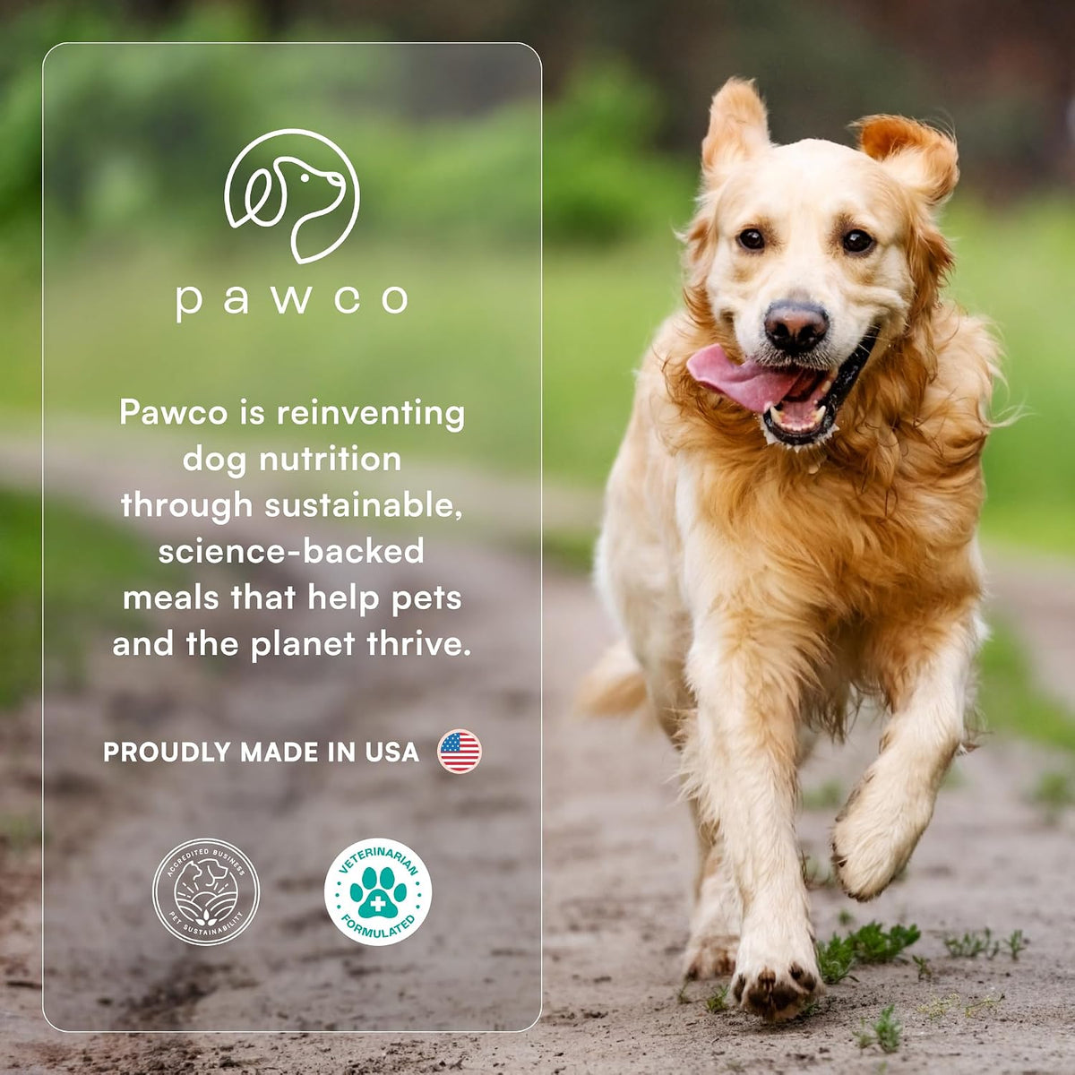 Pawco Dog Treats, Hip & Joint – Supports Mobility in Senior & Active Dogs – Crunchy Dog Cookies with Omega-3 & DHA, Peanut Butter & Apple – Supportive & Healthy Rewards for Dogs – Magic Cookie – 8.8Oz