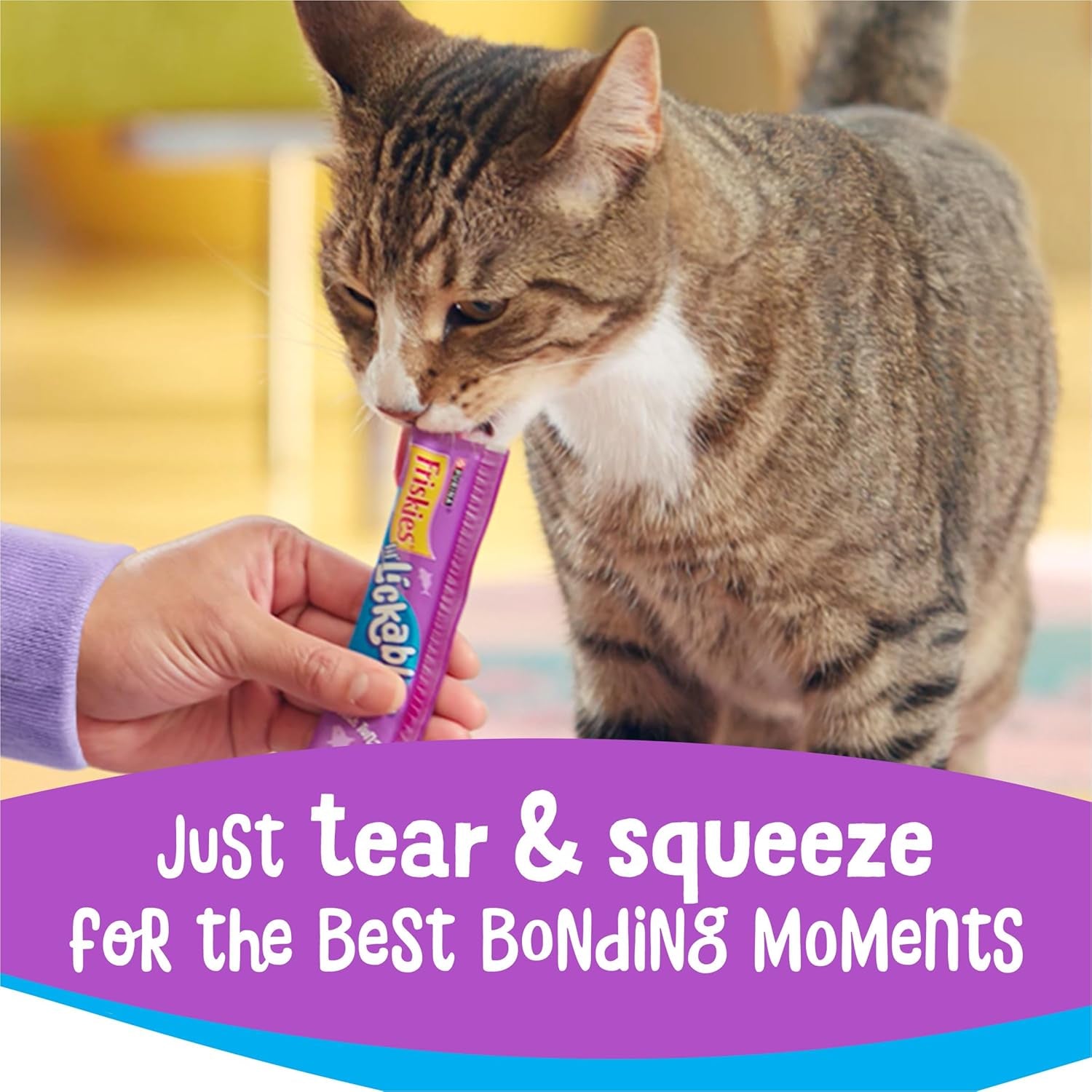 Purina Friskies Lil’ Lickables with Chicken Lickable Cat Treats - 16 Oz (Pack of 32)