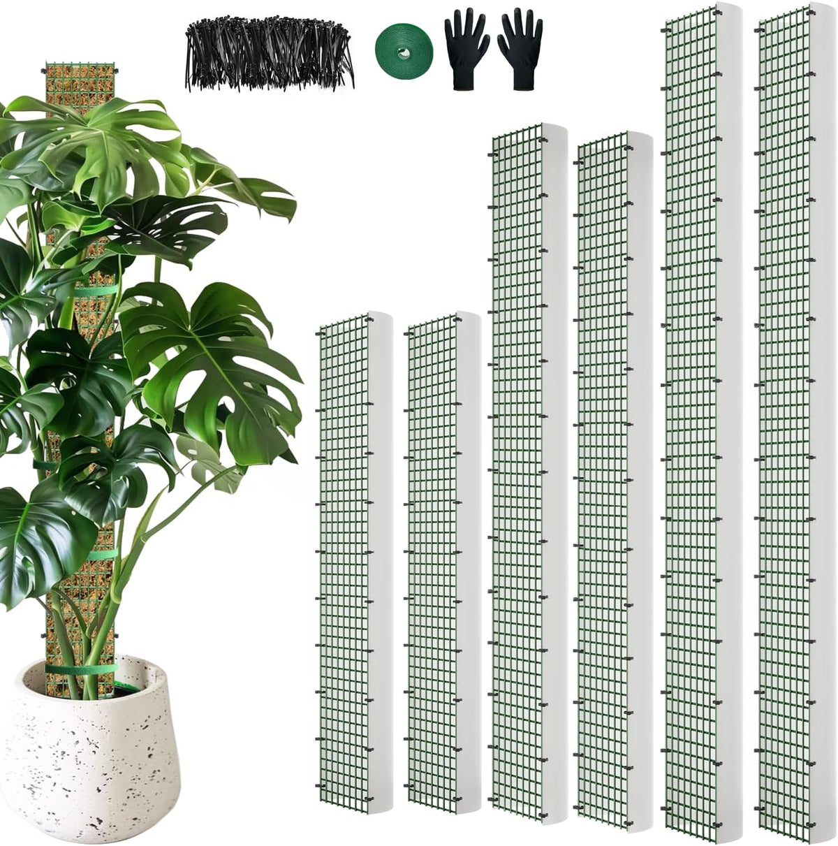 60"/40"/24" Metal Moss Pole, 6 Pack D Shape Sphagnum Moss Pole, Moss Poles for Climbing Plants, Monstera, Indoor Climbing Plants (2 Each of 60" 40" 24")