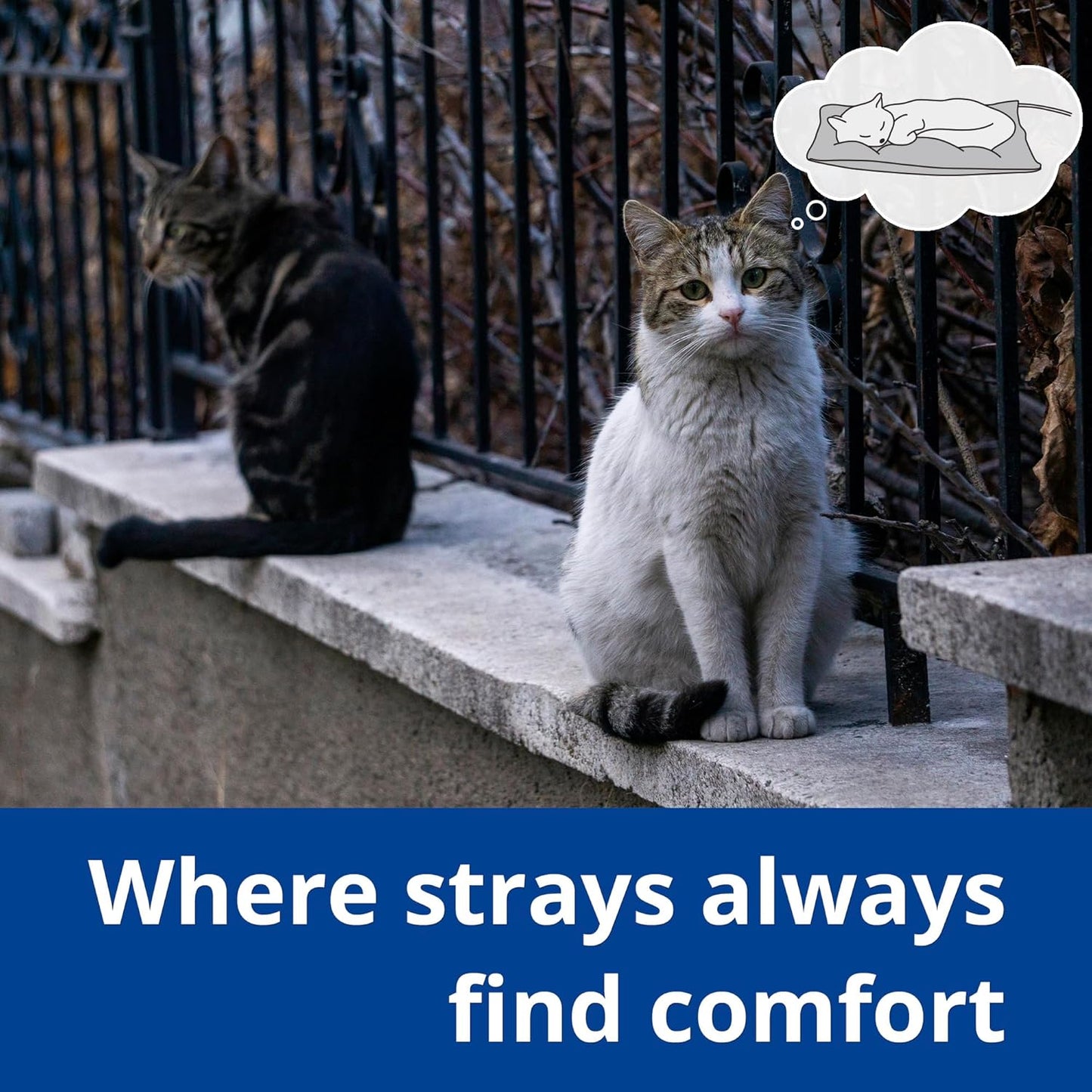 Outdoor Heated Cat Bed, Soft Pet Heating Pad with Steel-Wrapped Cord, outside Pet Warmer for Feral Cats and Dogs, 19.7" X 15.7", 40 Watts