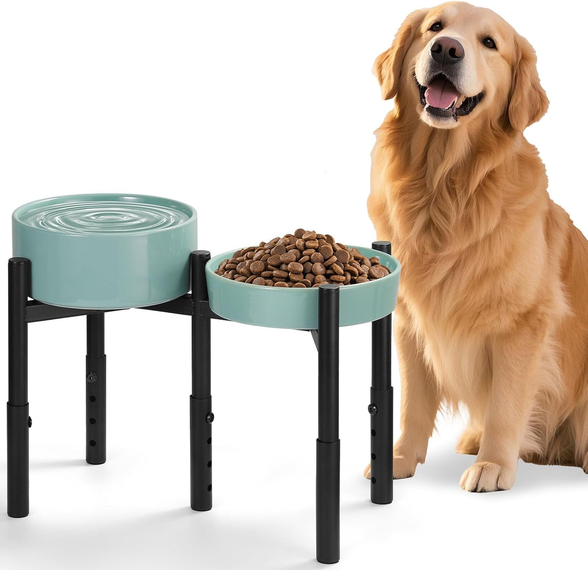 Adjustable Height Elevated Dog Bowl Stand with Ceramic Slow Feeder Bowls