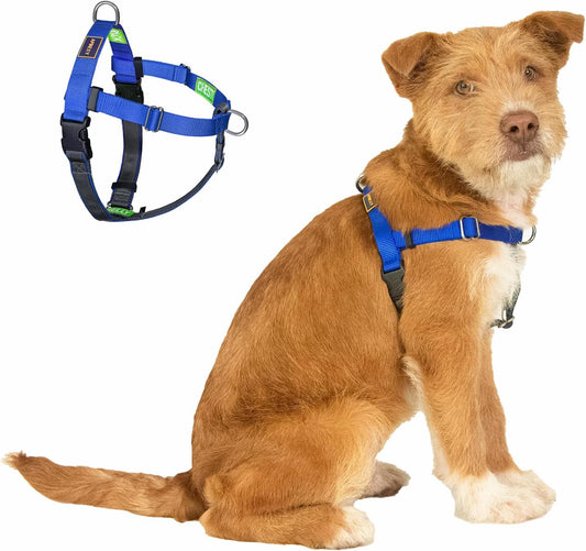 Easy Walk No Pull Dog Harness, Blue, Medium
