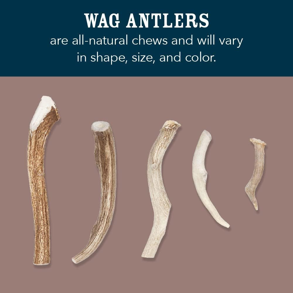 Amazon Brand - Wag Dog Deer Antler Chew, Naturally Shed, Whole, 9 - 10.5 Inches, Long Lasting for Aggressive Chewers, X-Large, Best for Dogs over 45 Lbs